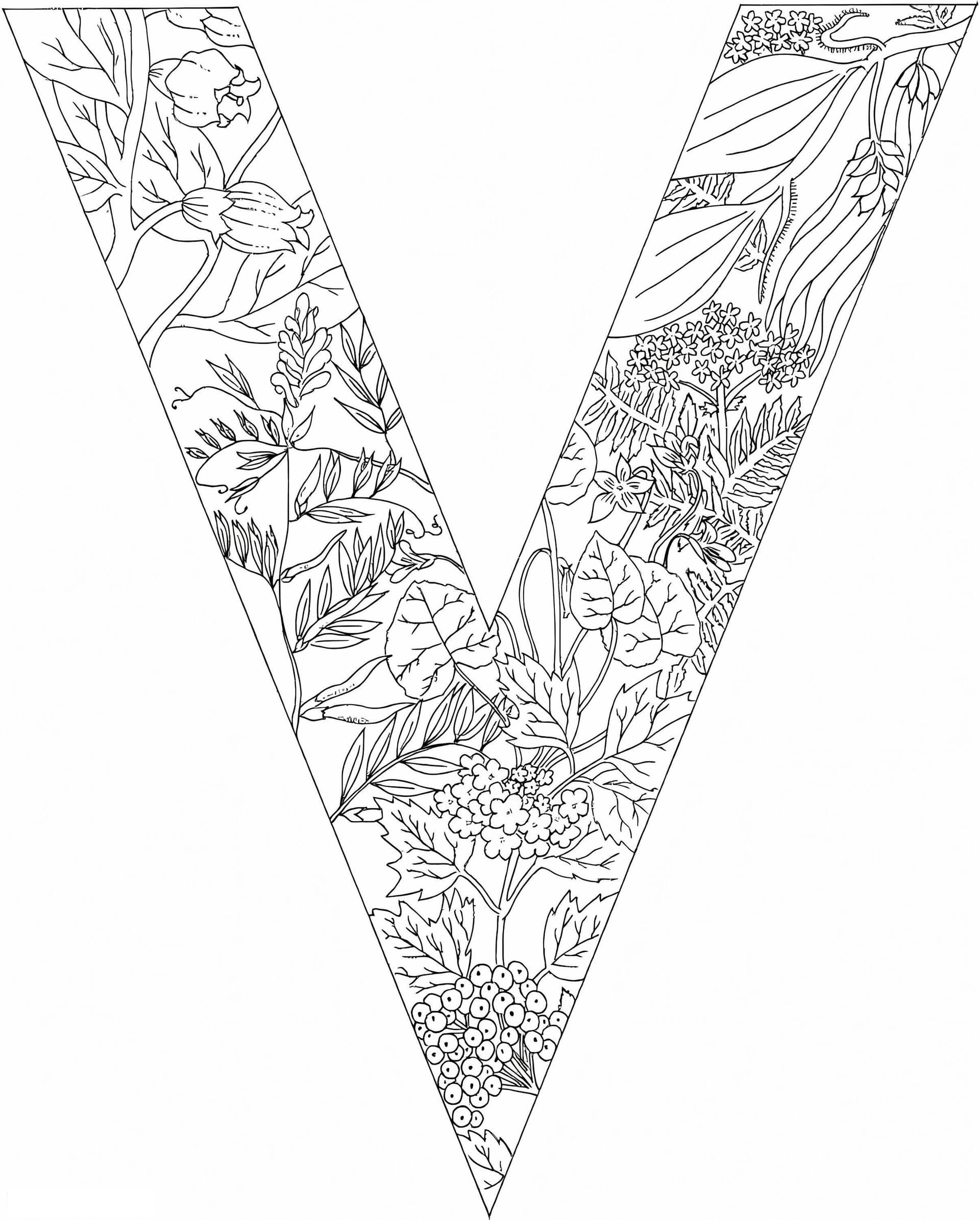 Letter V