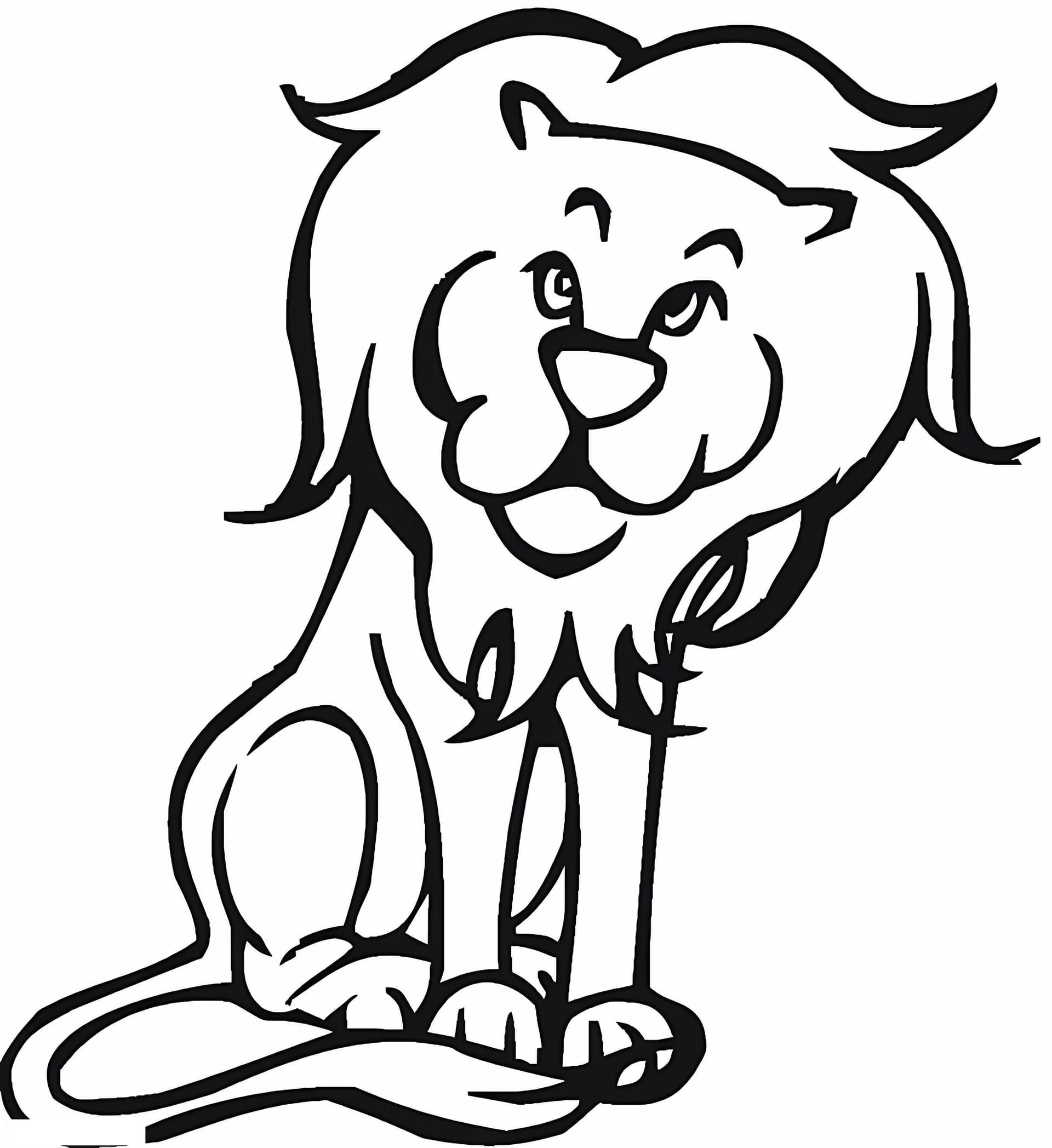 Lion Is Looking