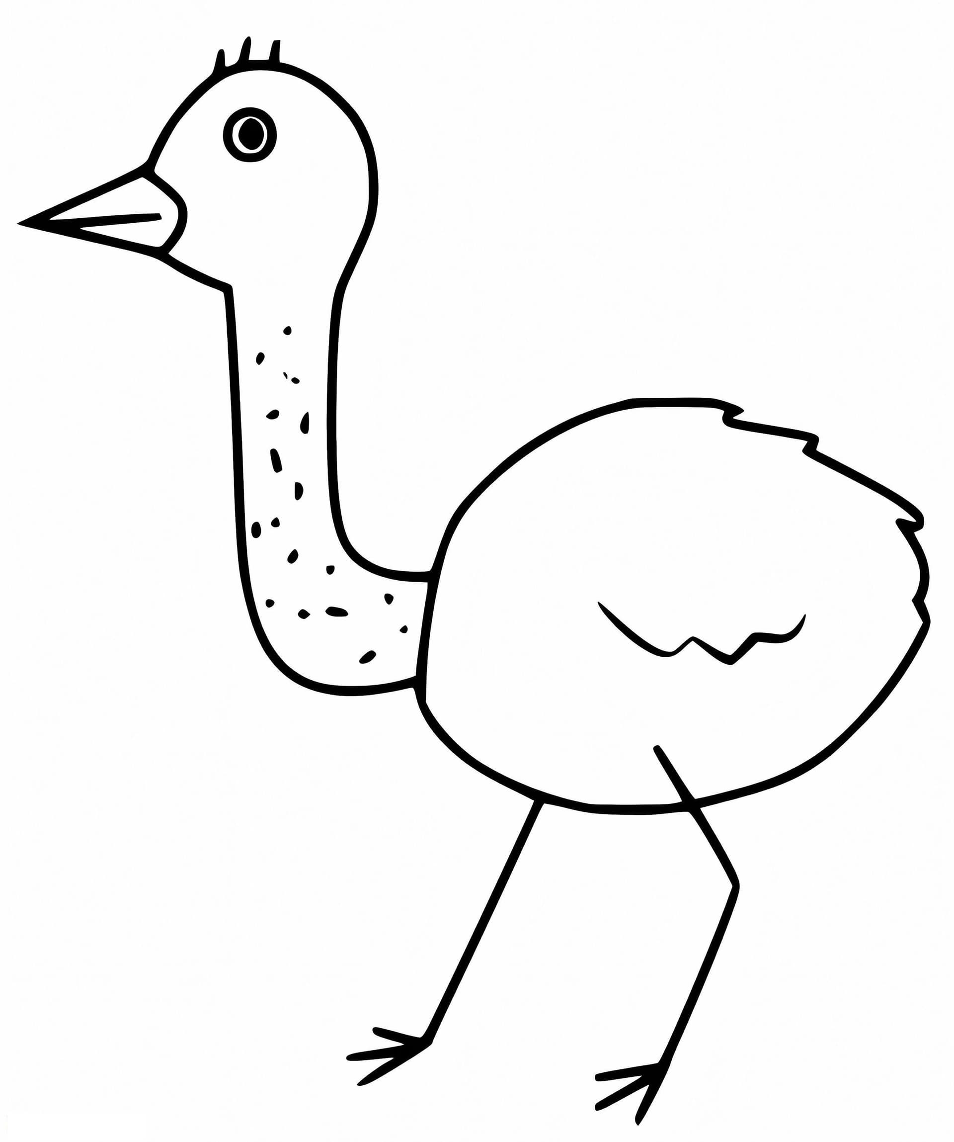 Little Emu