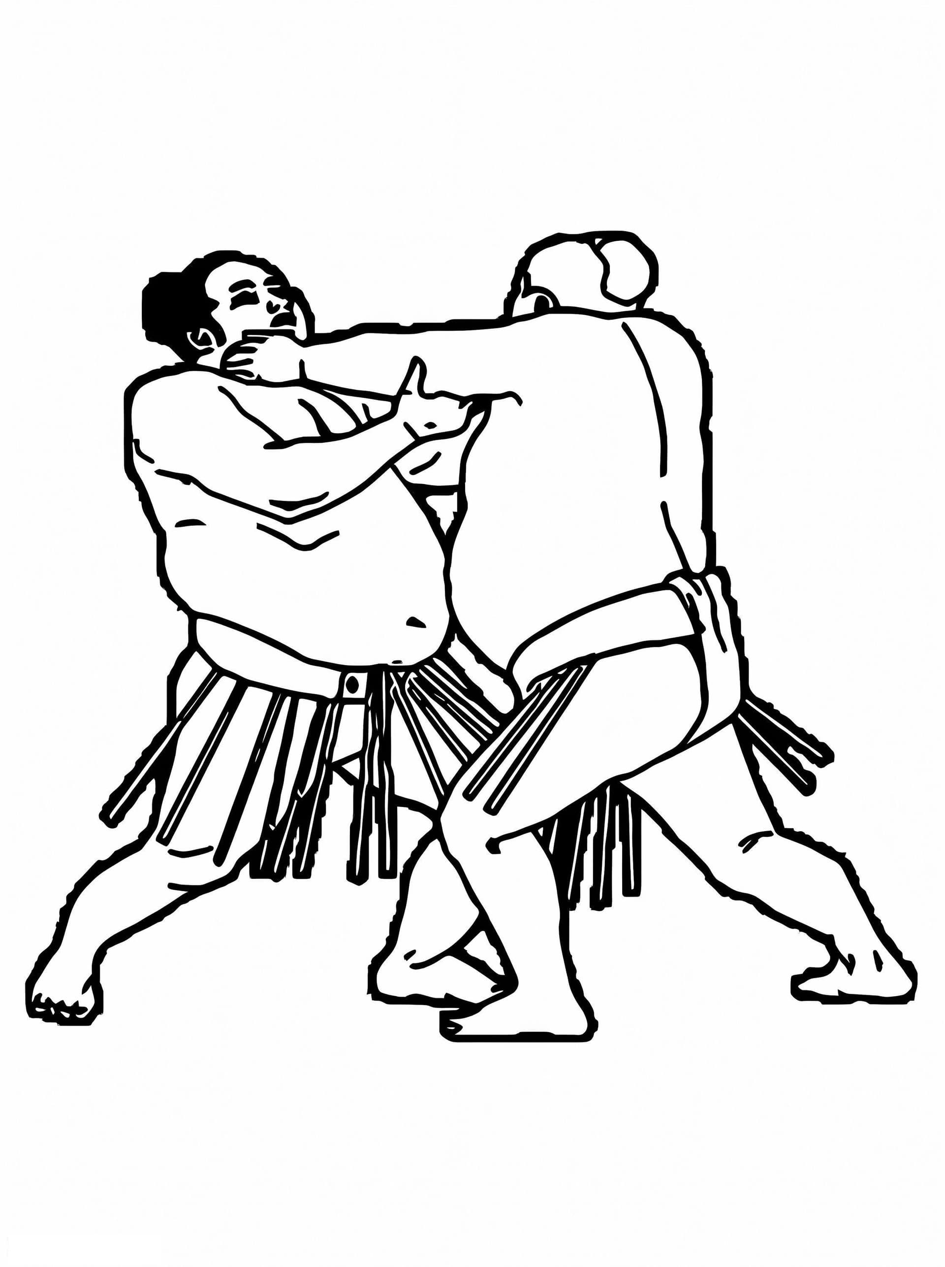 Sumo Wrestling