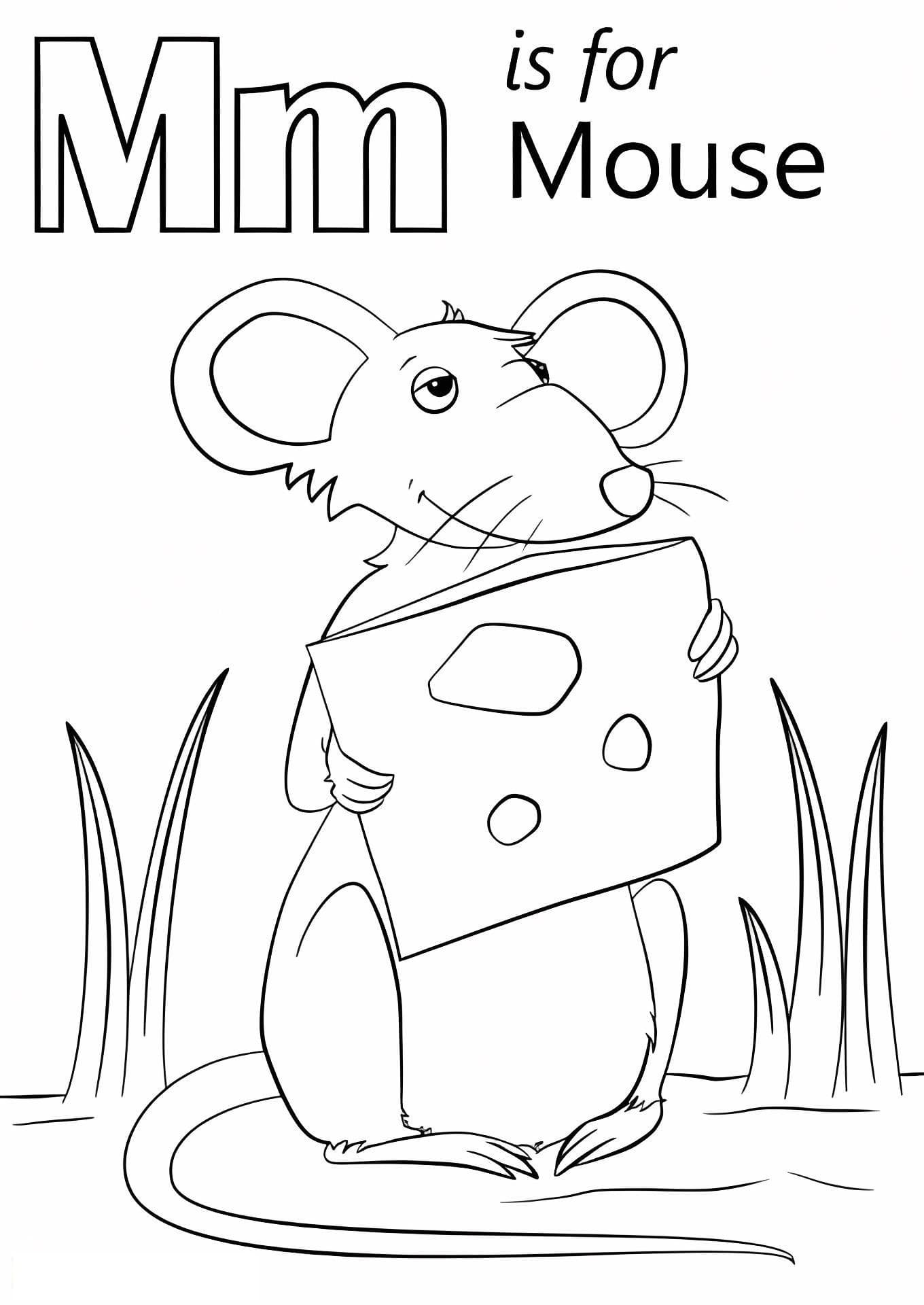 M Is For Mouse