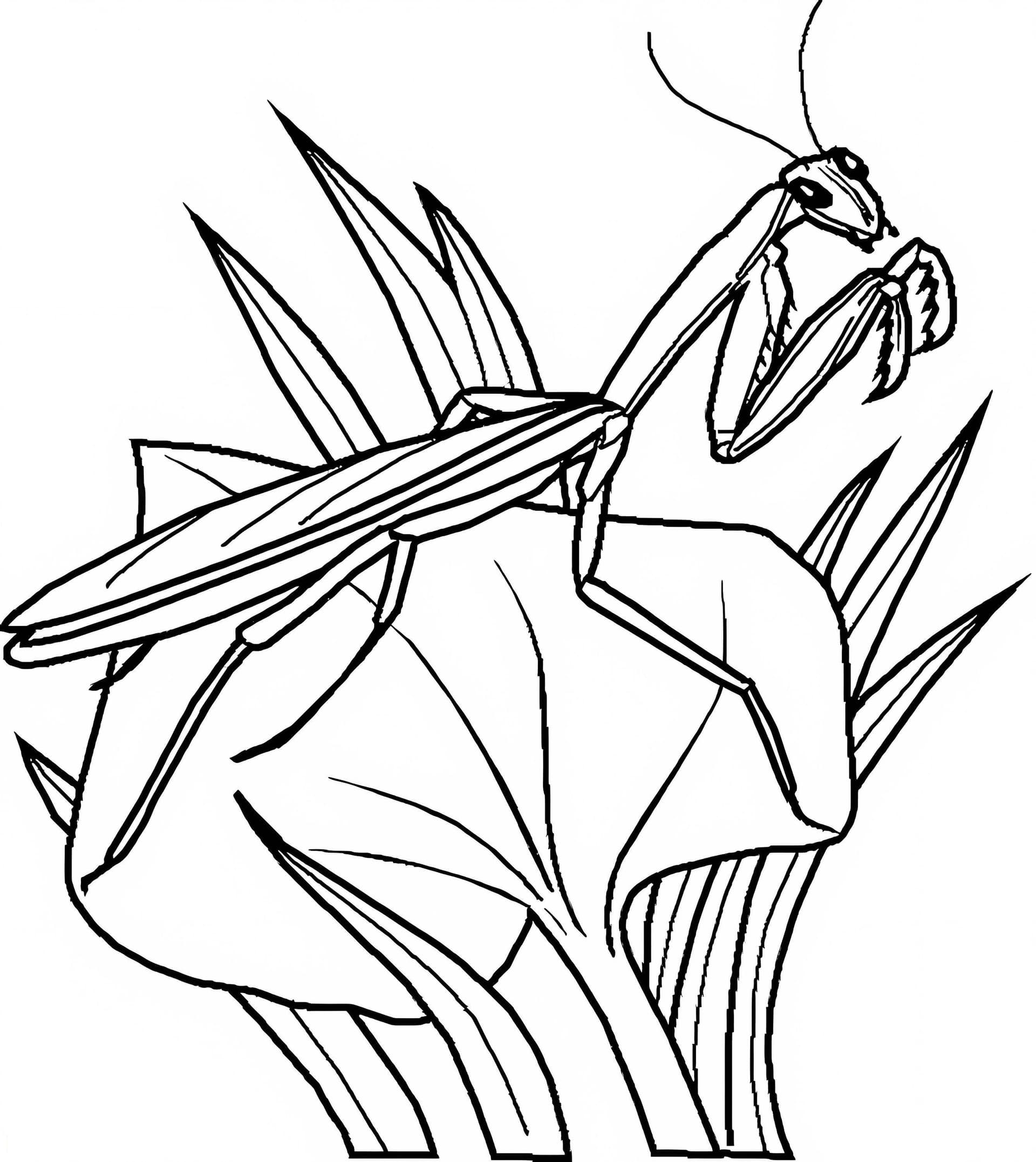 Leaf Mantis