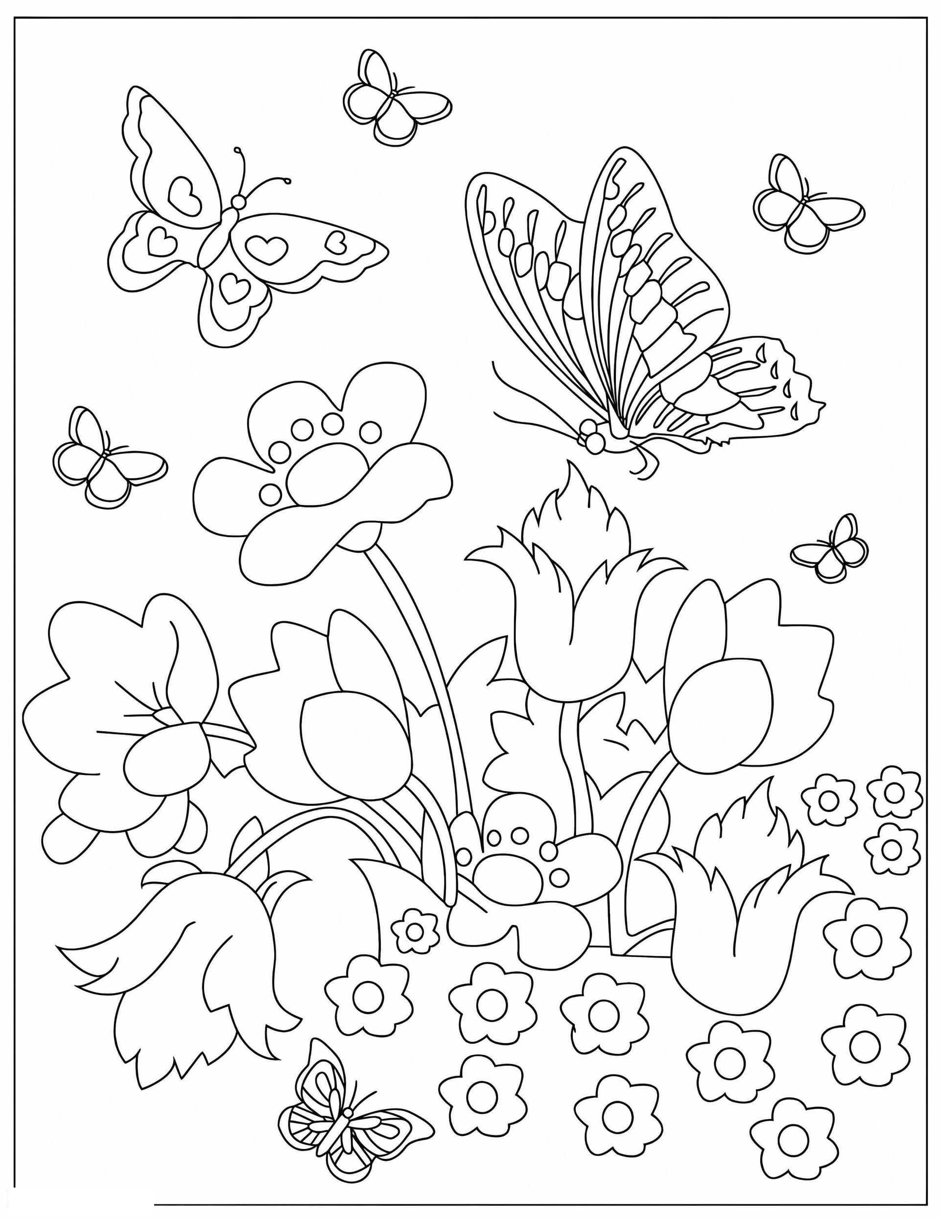 Butterflies And Flowers