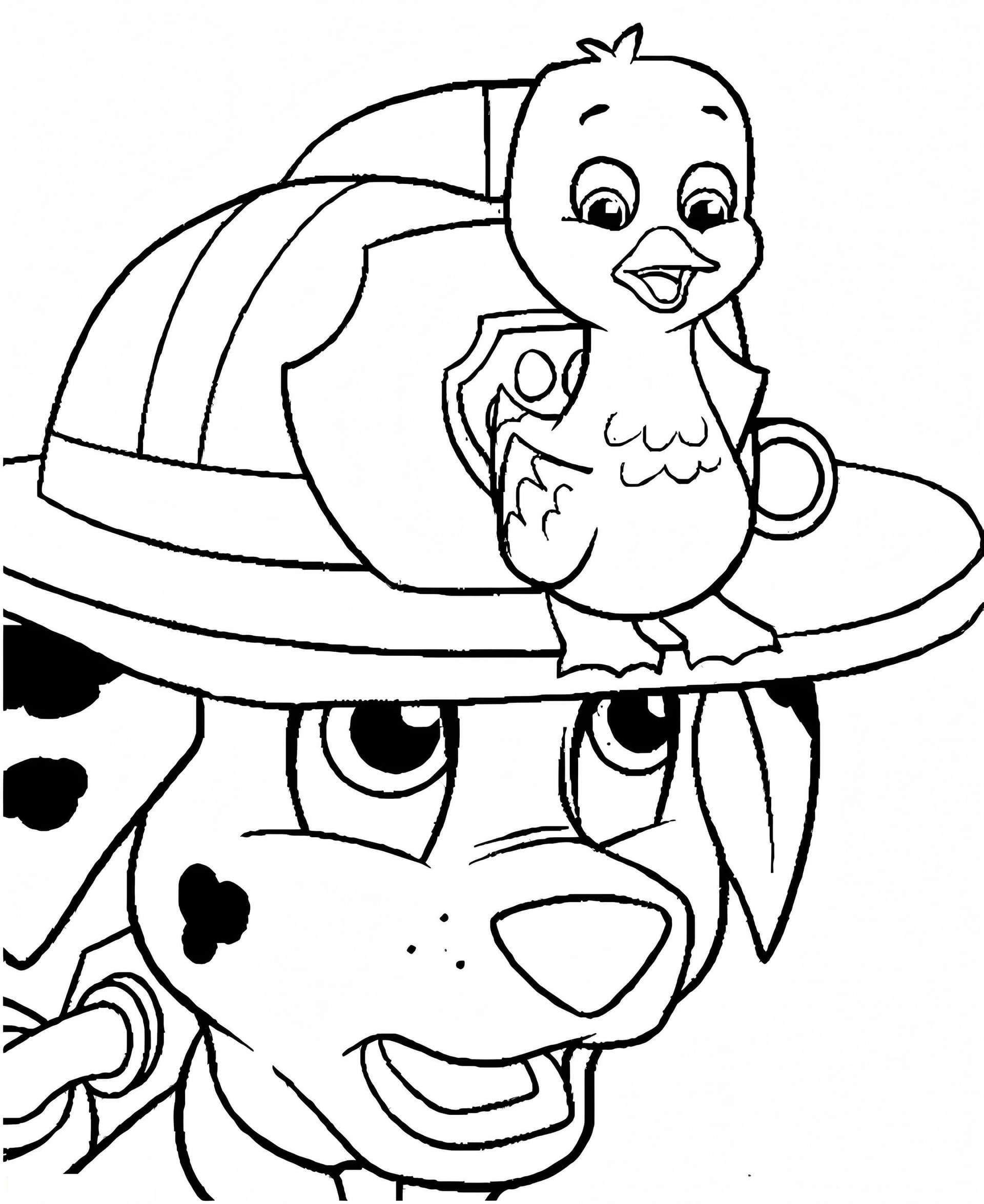 Marshall Y Fuzzy