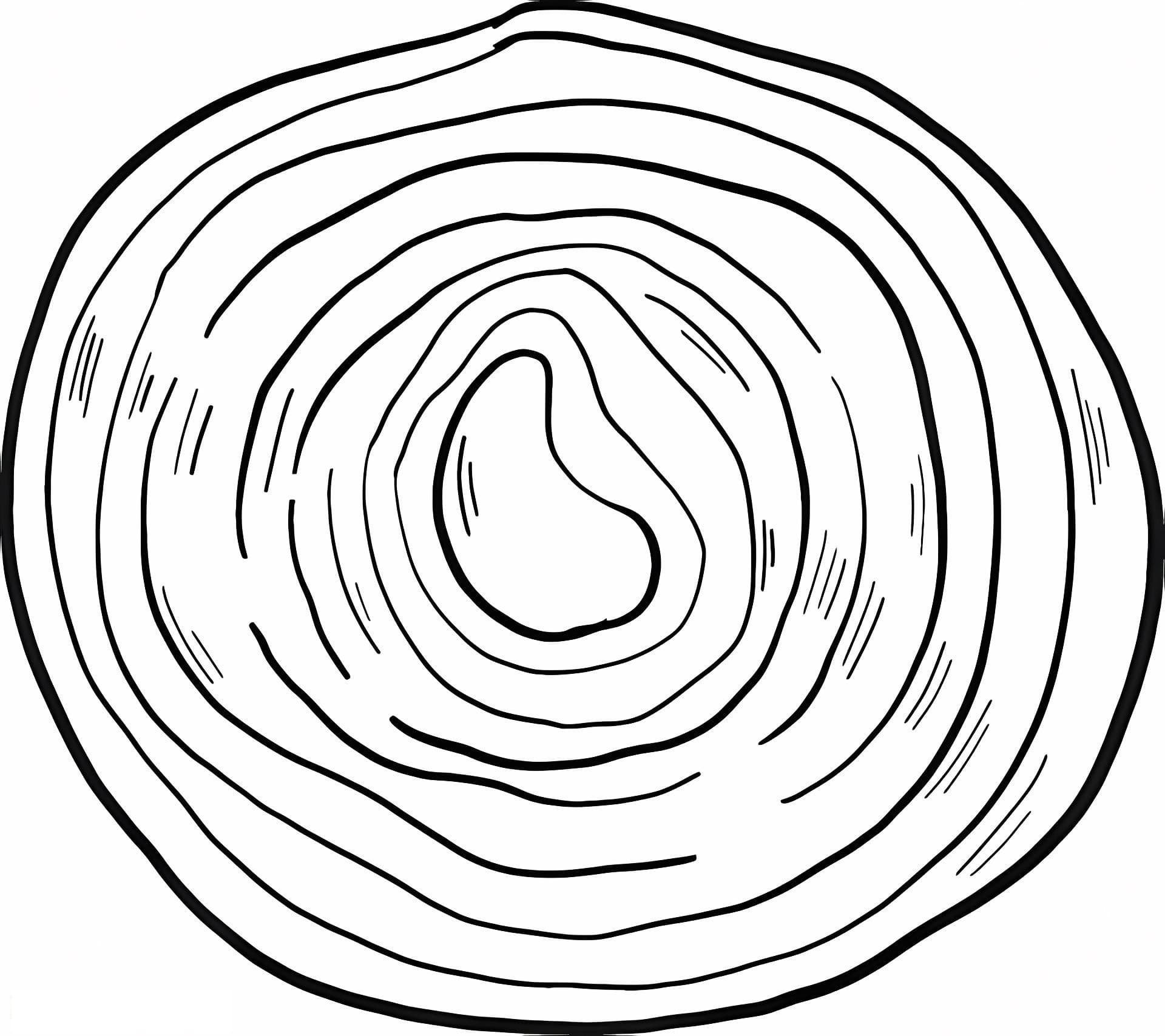 Half An Onion