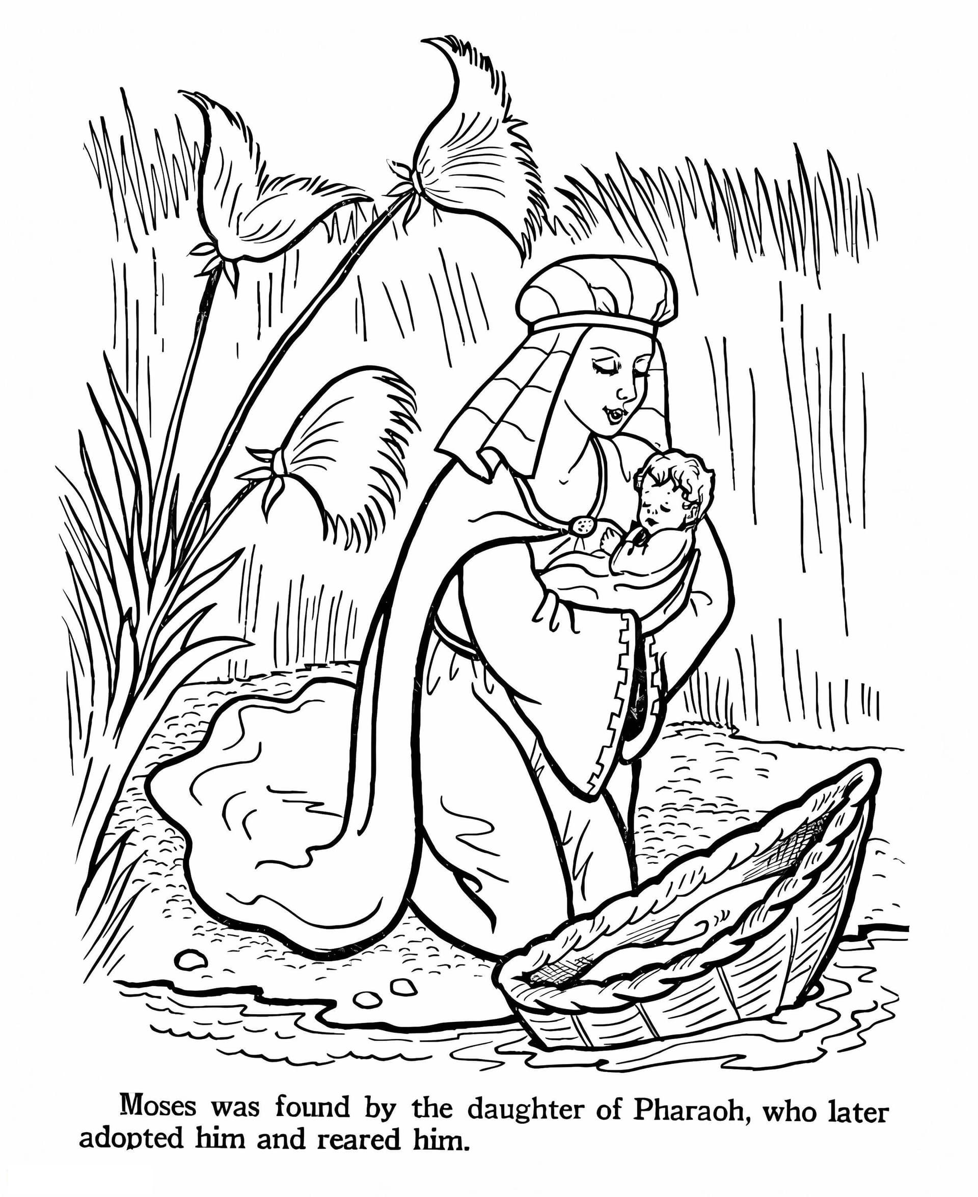 Moses Bible Story