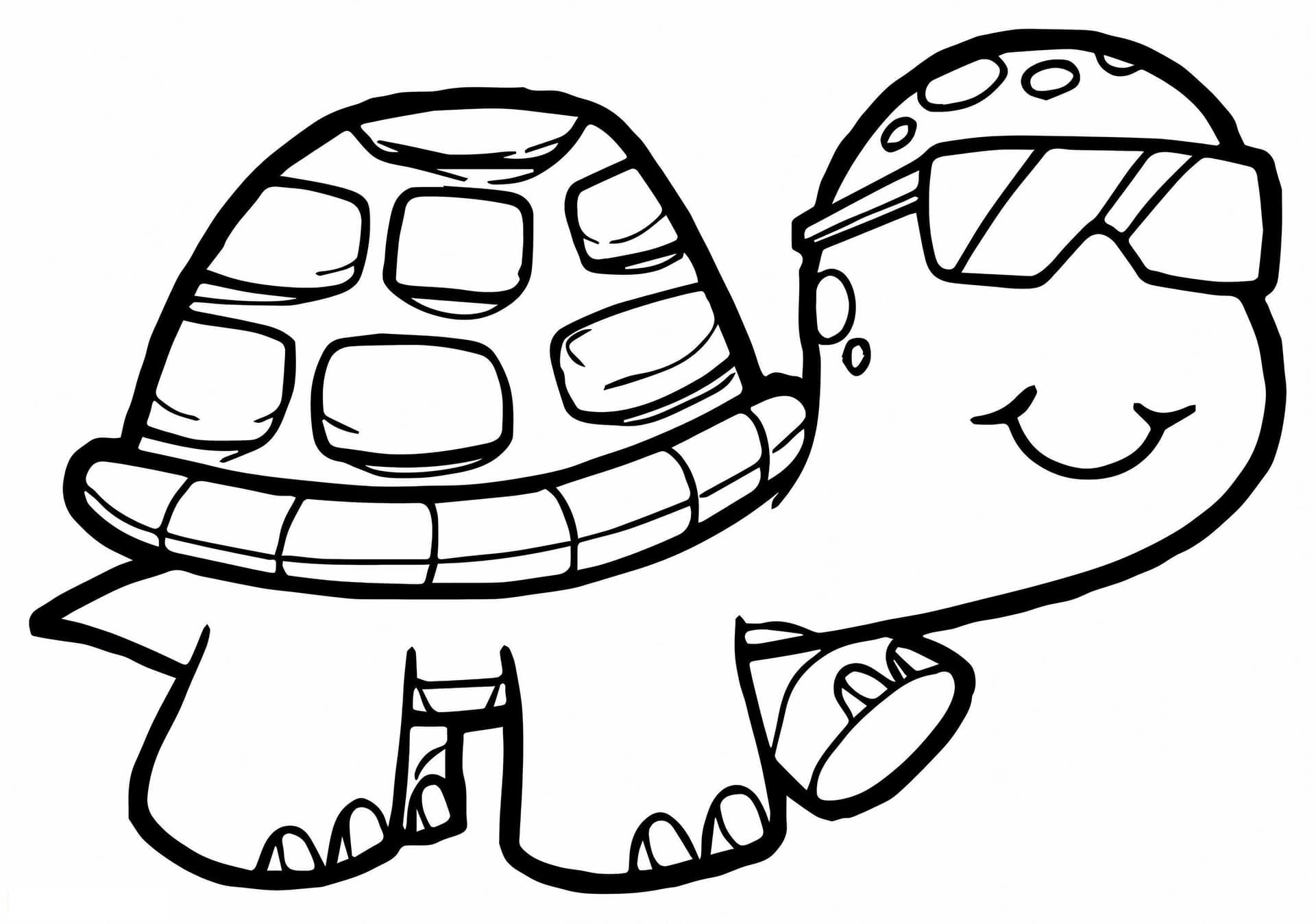 Turtle Boy