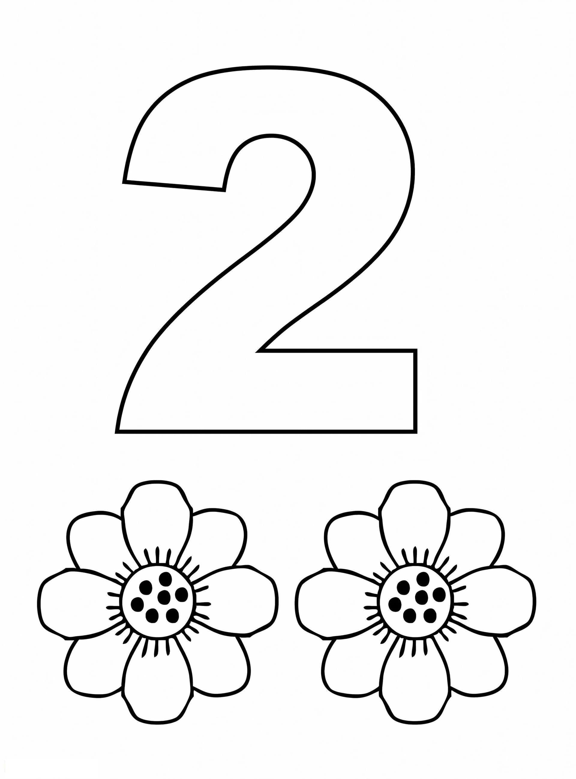 Number 2 And Two Flowers