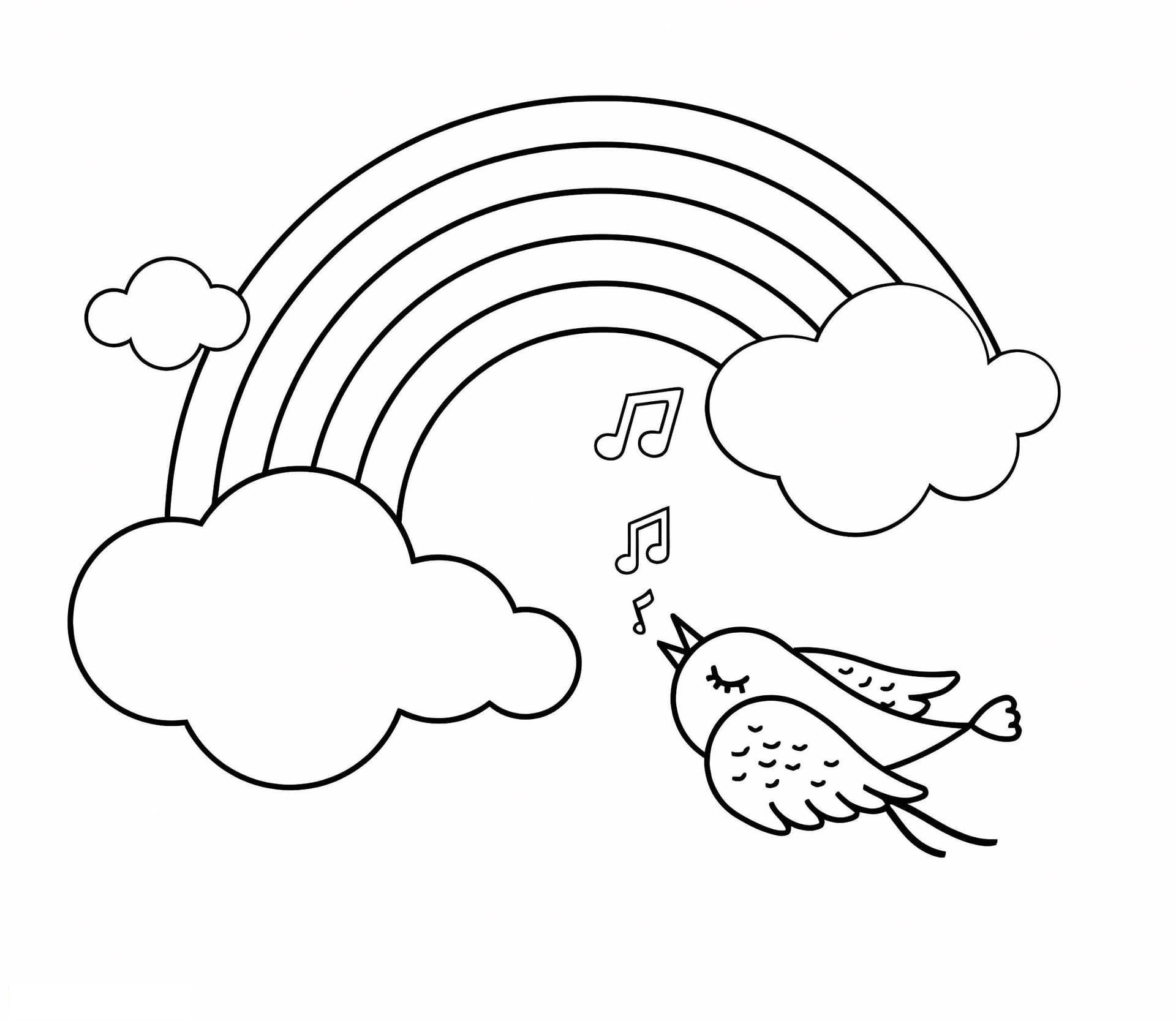 Bird And Rainbow