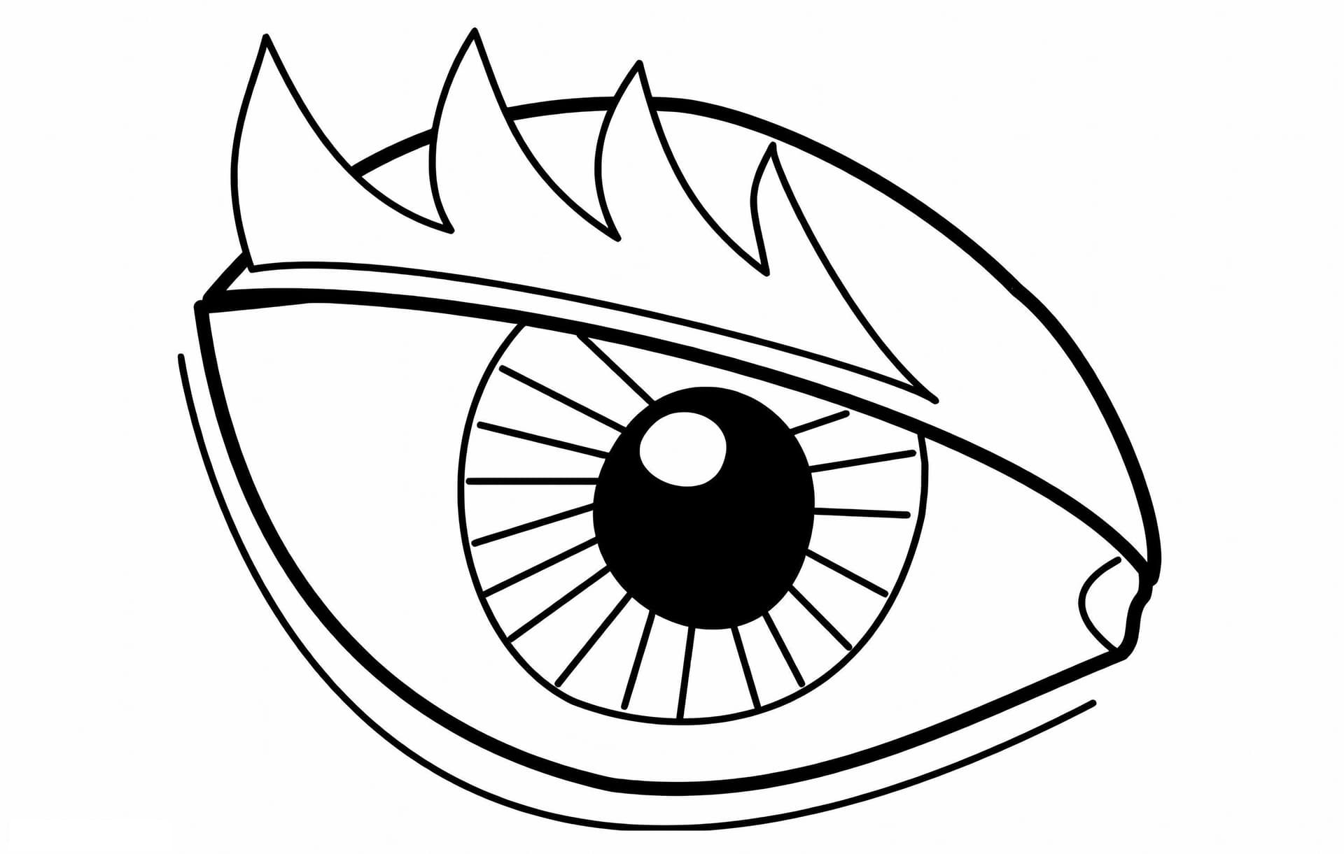 Grundlegendes Auge