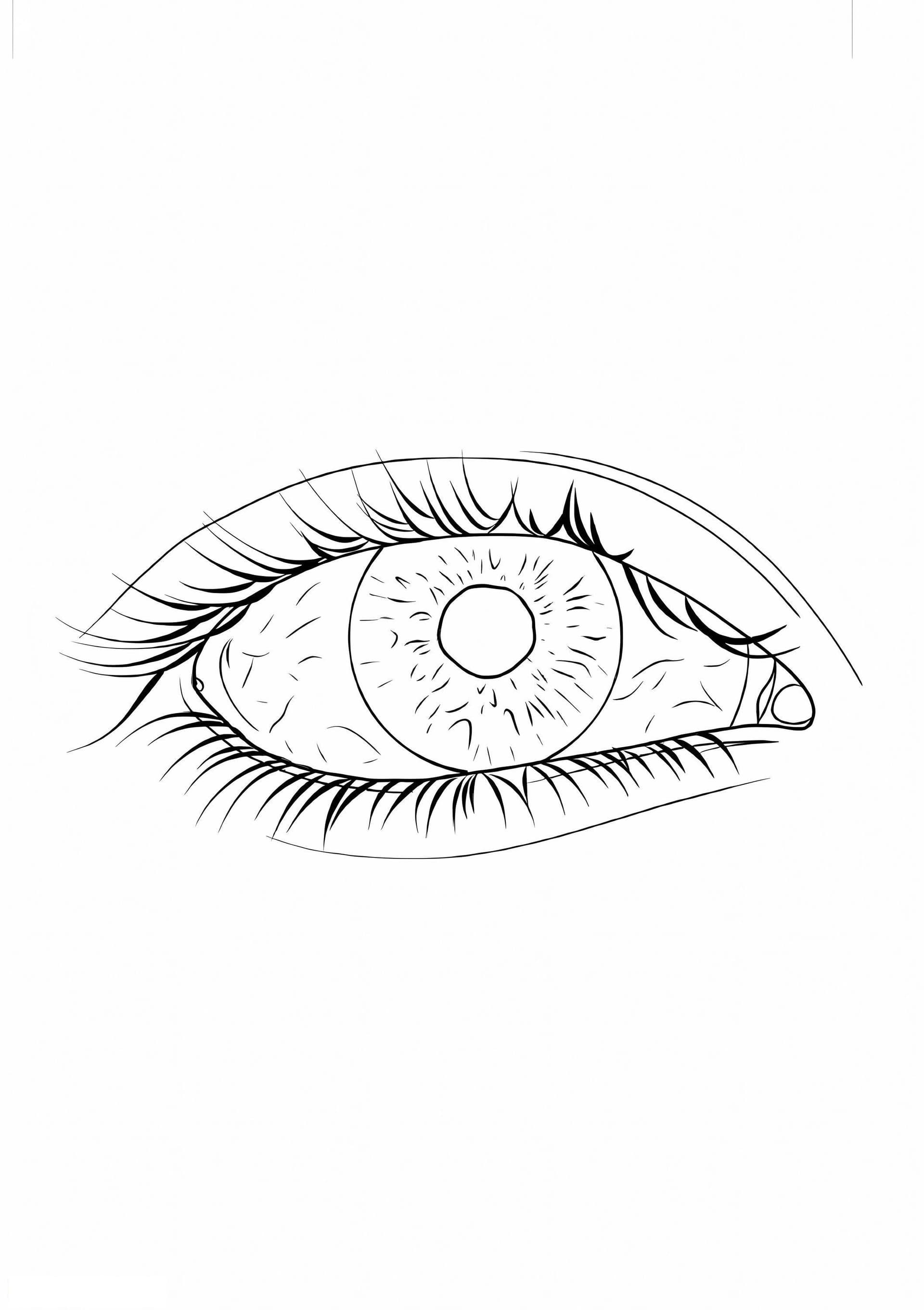 Normal Eye