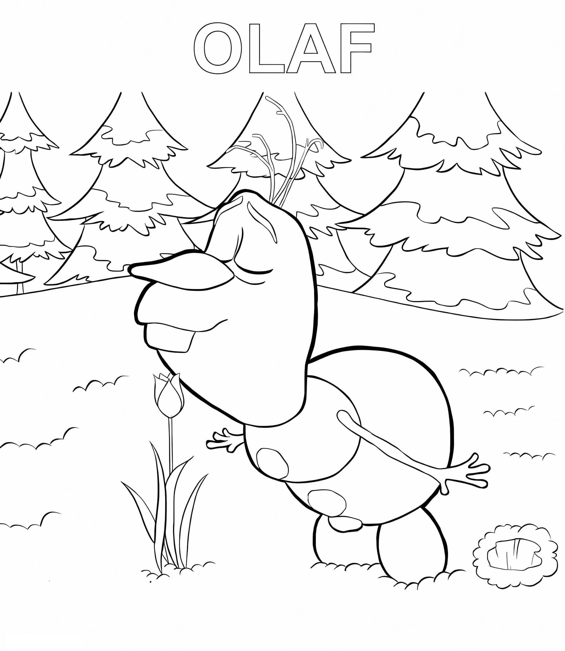 Olaf Con Flor