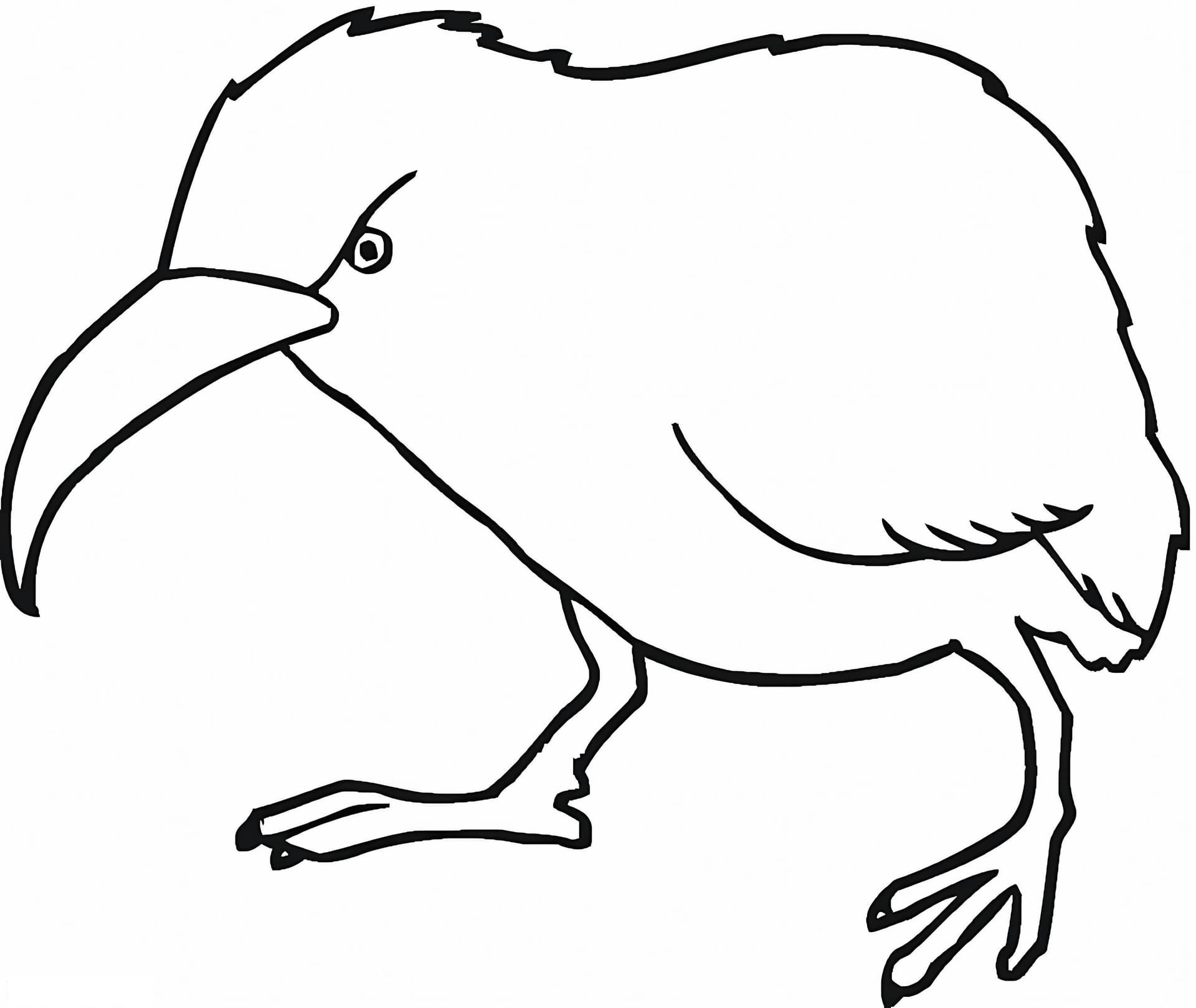 Angry Kiwi Bird