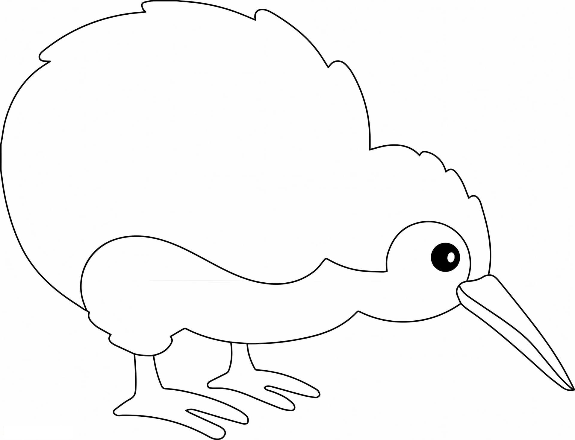 Perfect Kiwi Bird