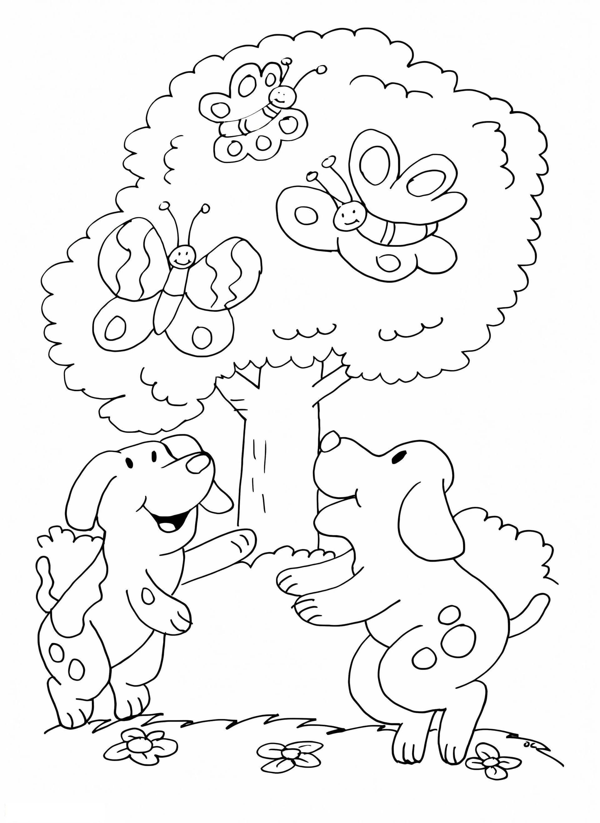 Pet Dogs