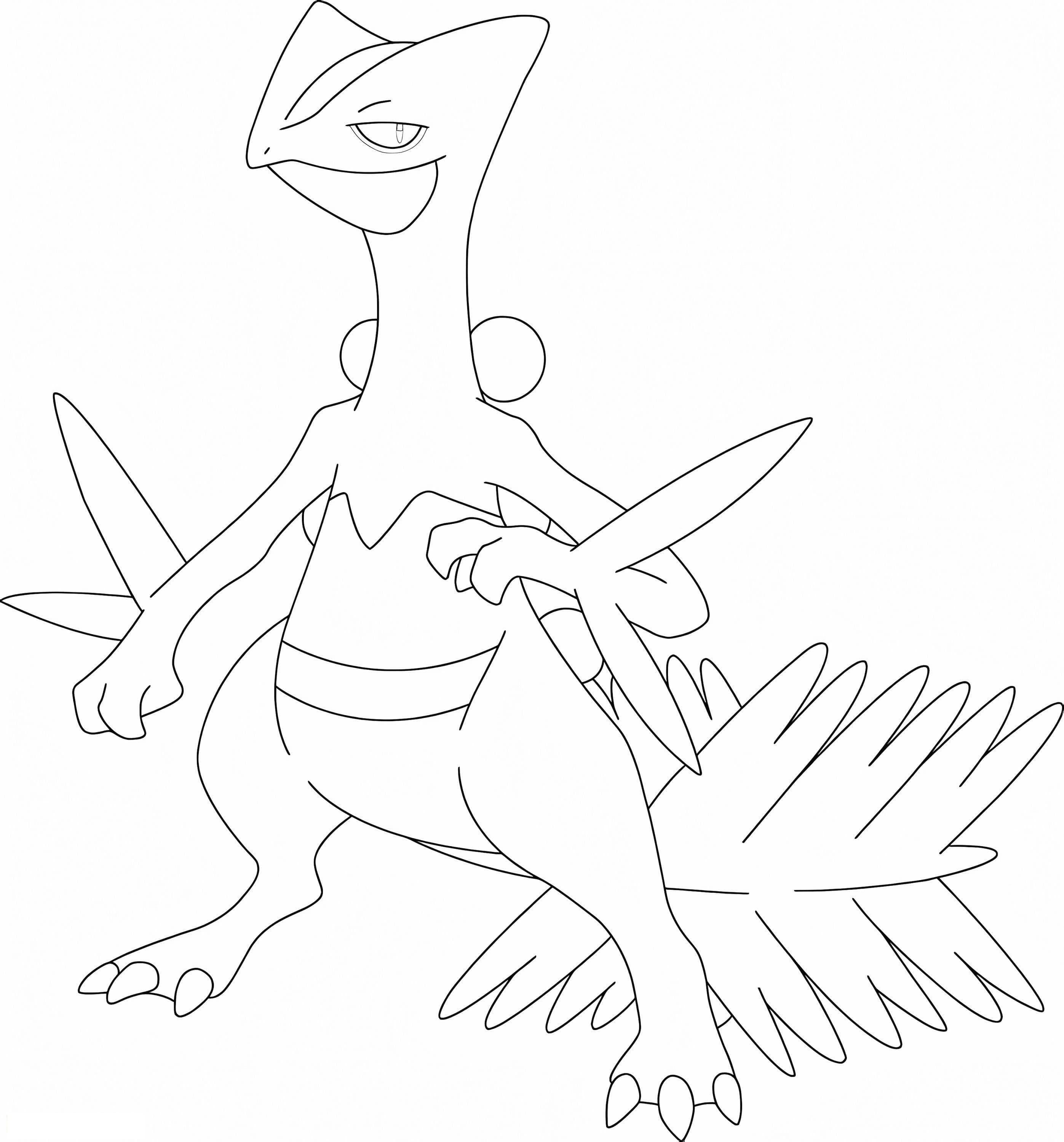 Sceptile Pokemon