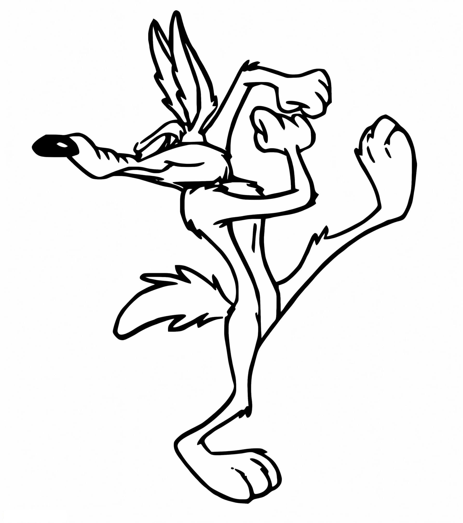 Print Wile E Coyote