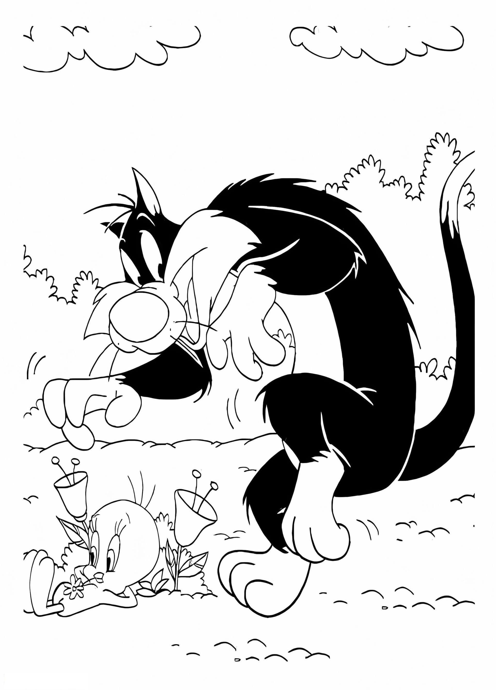 Printable Sylvester