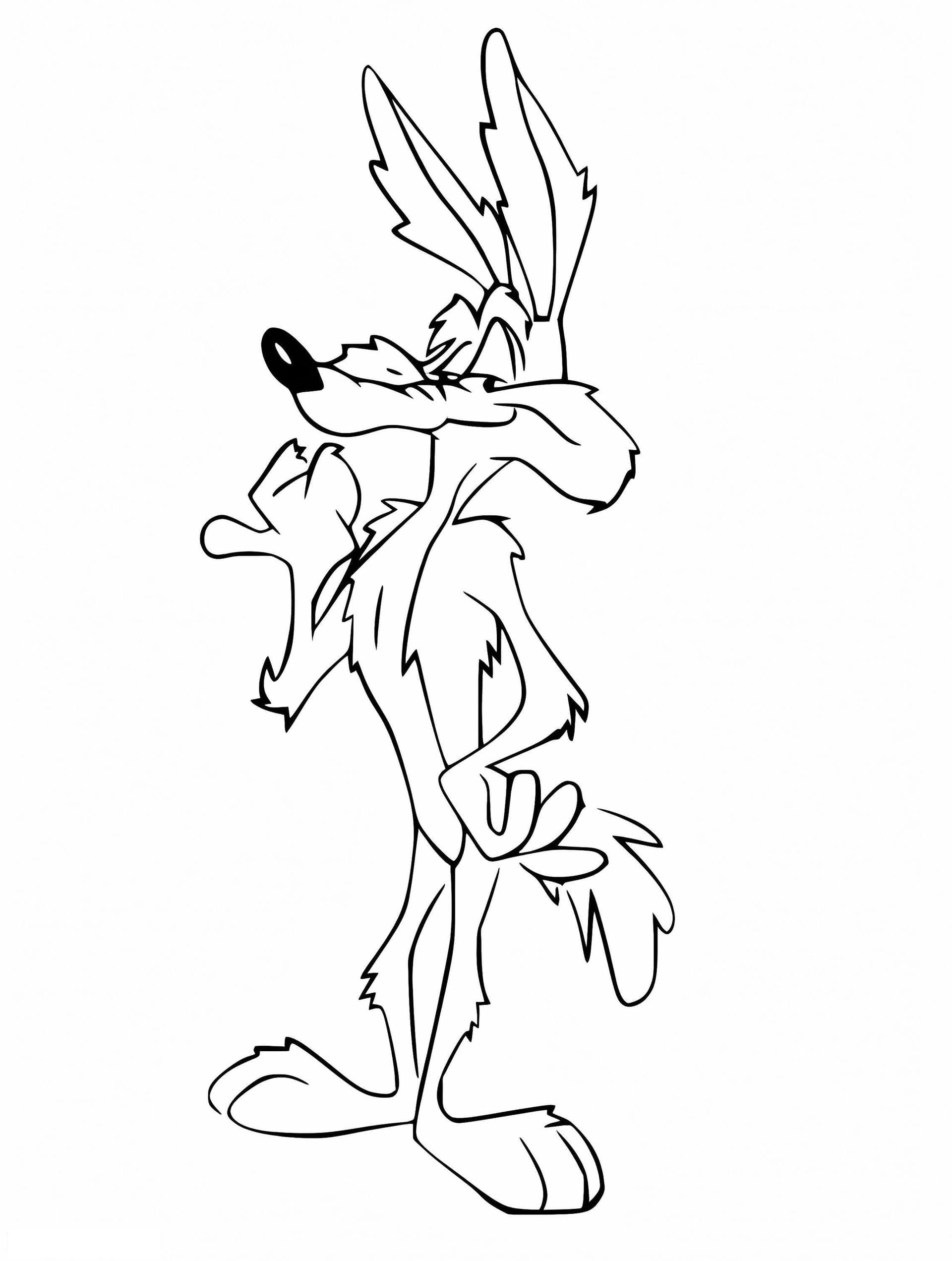 Proud Wile E Coyote