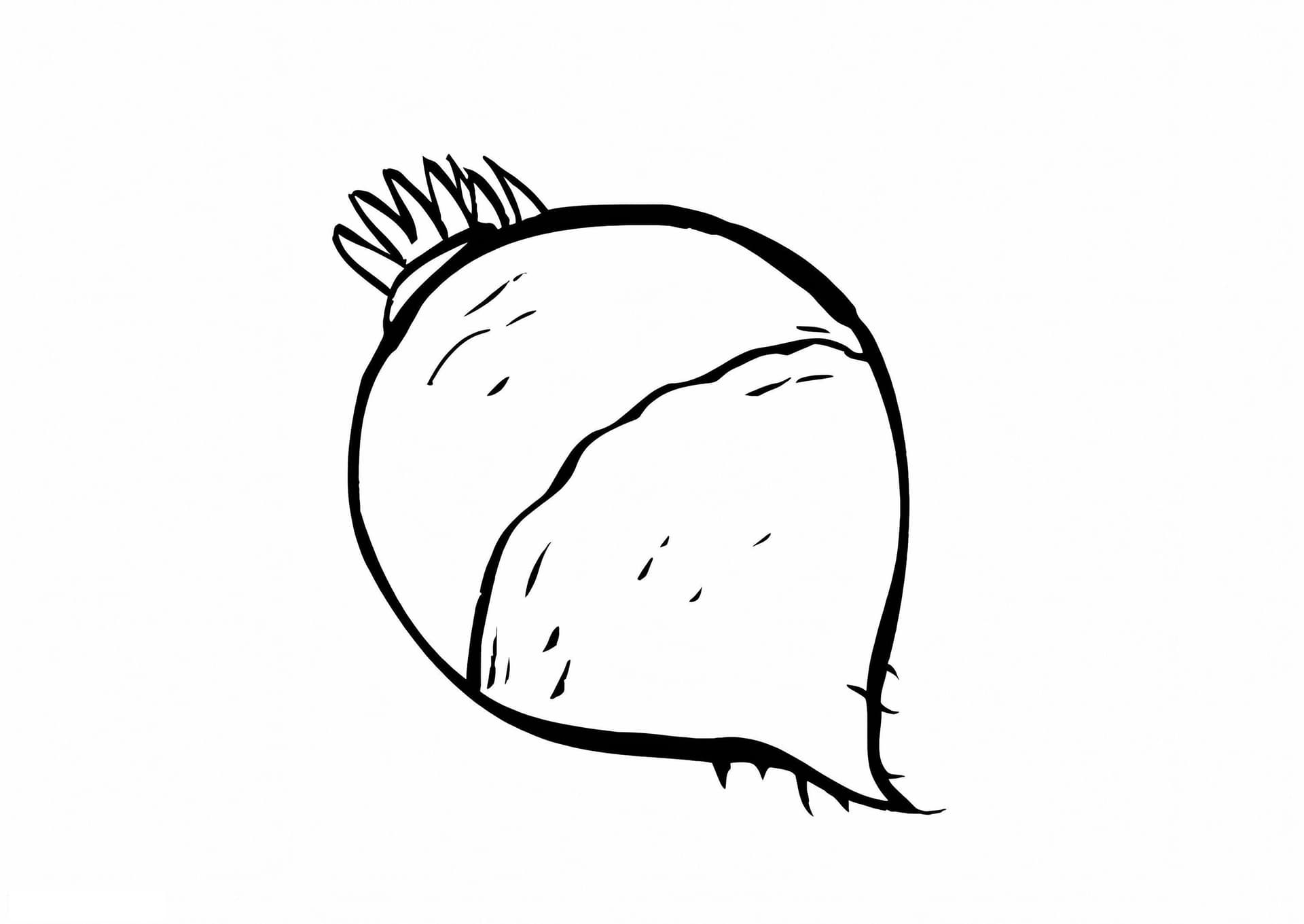 Radish 2