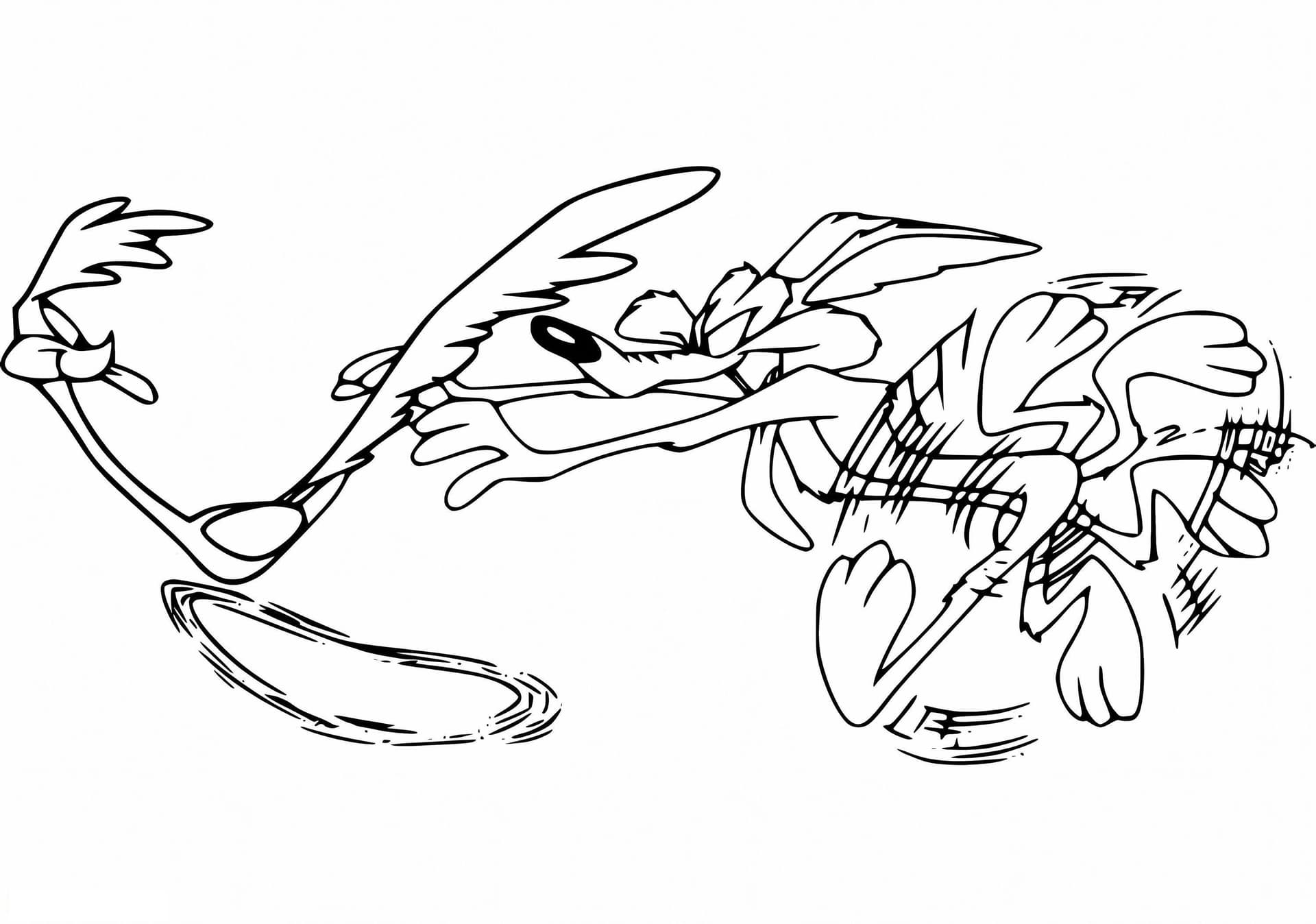 Road Runner With Wile E Coyote