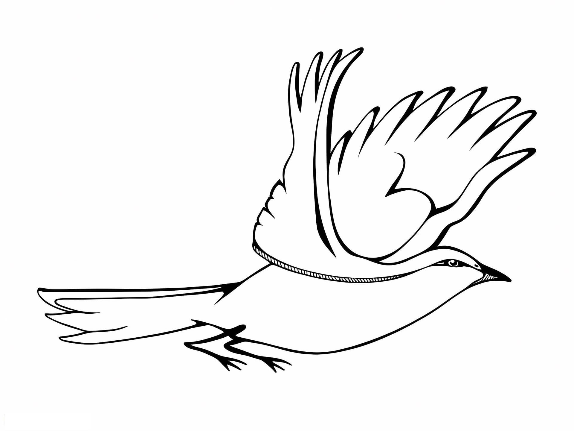 Flying Nightingale