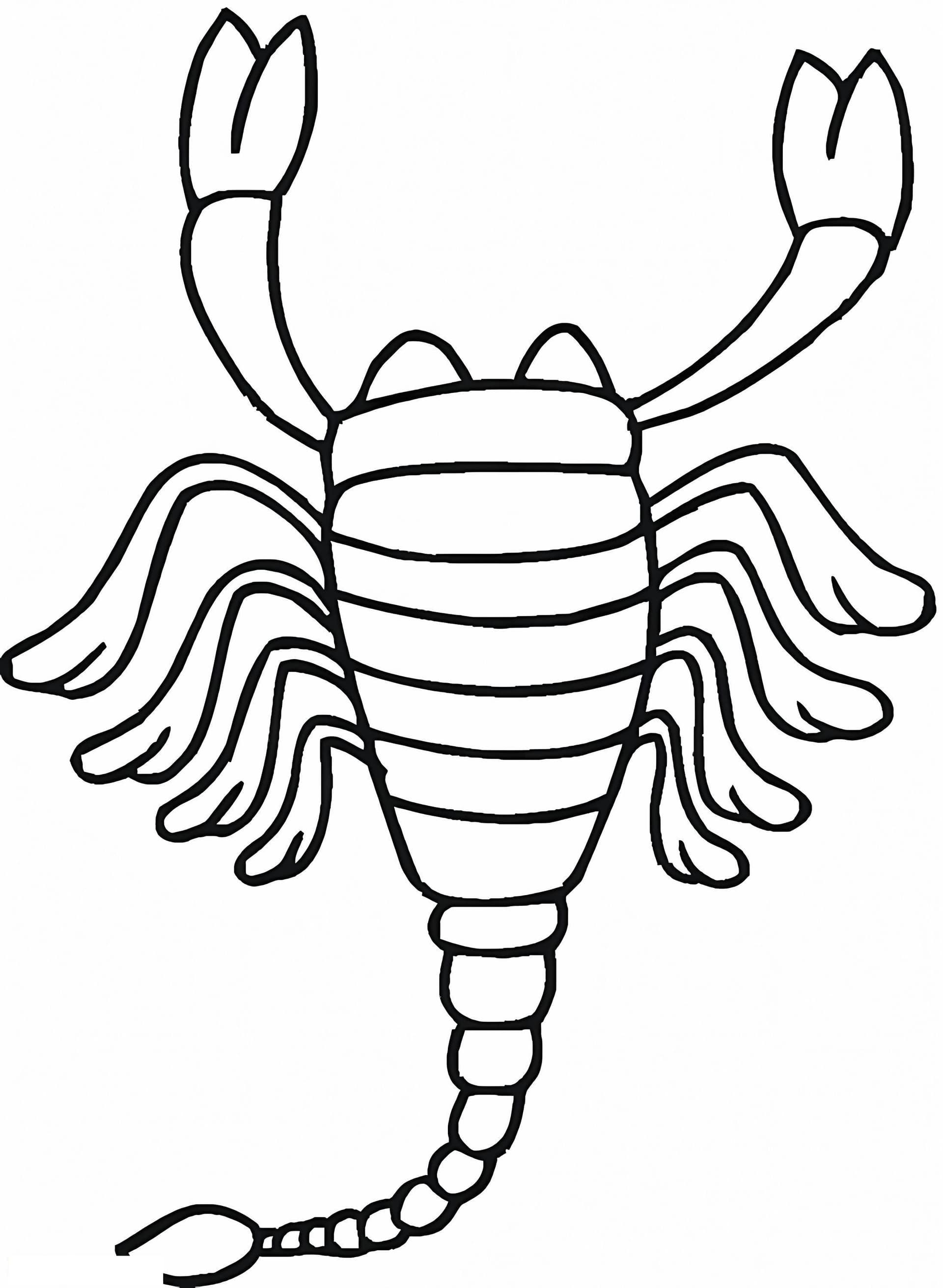 Scorpion 10