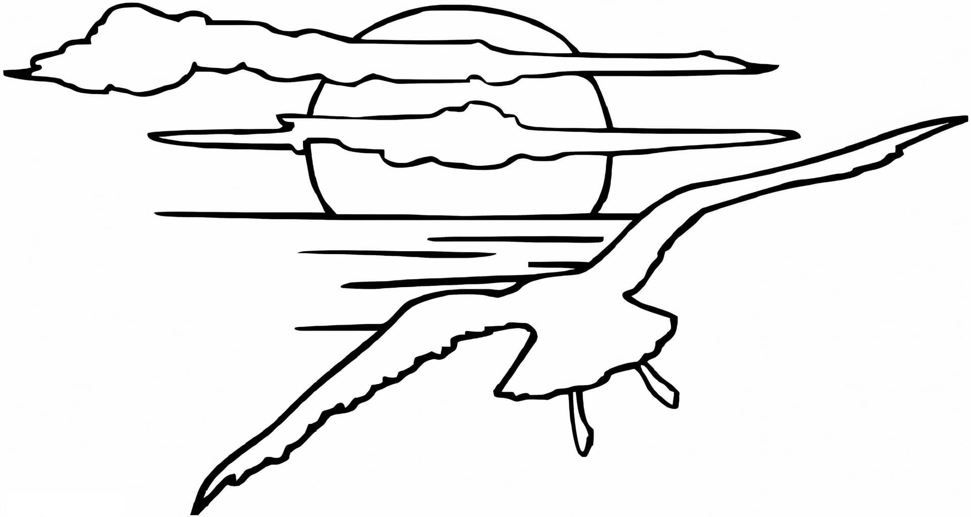 Seagull In The Sunset