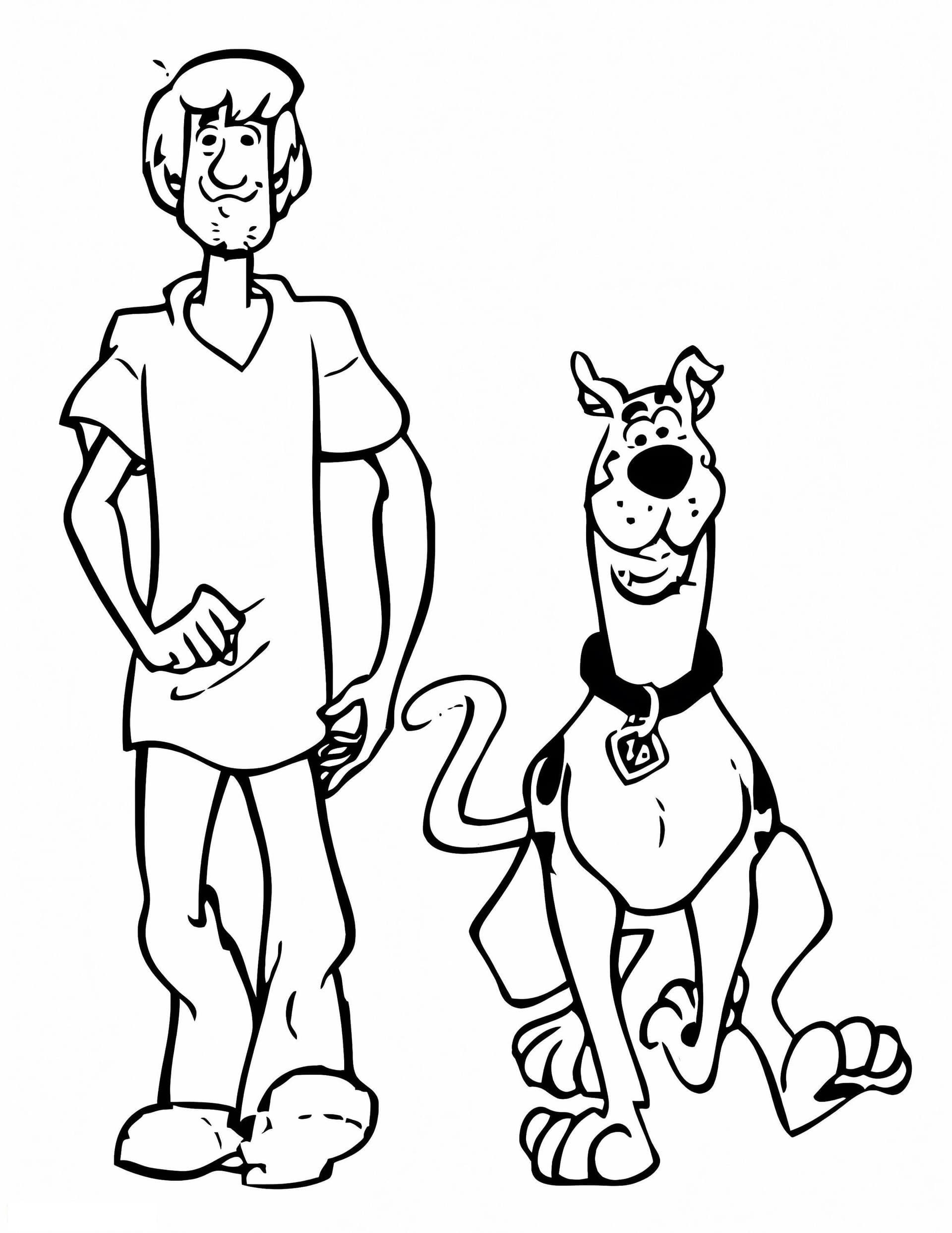 Shaggy And Scooby Doo Walking