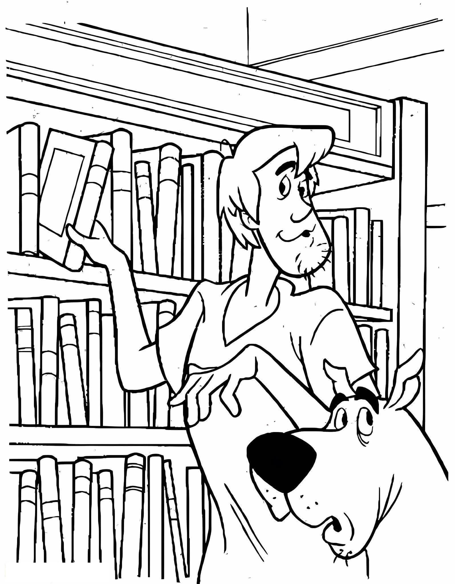Shaggy And Scooby Doo At The Bookstore