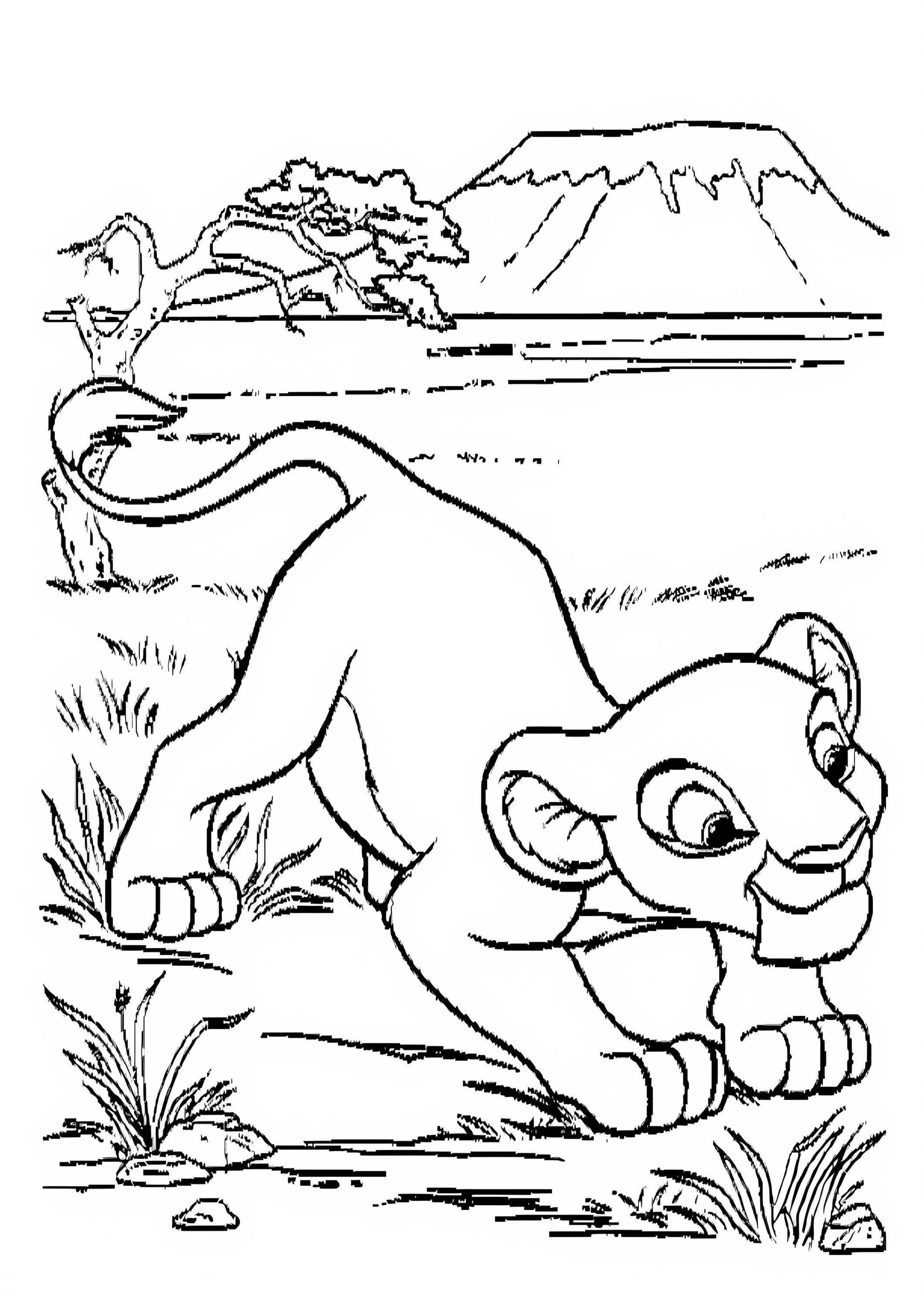 Lion 5