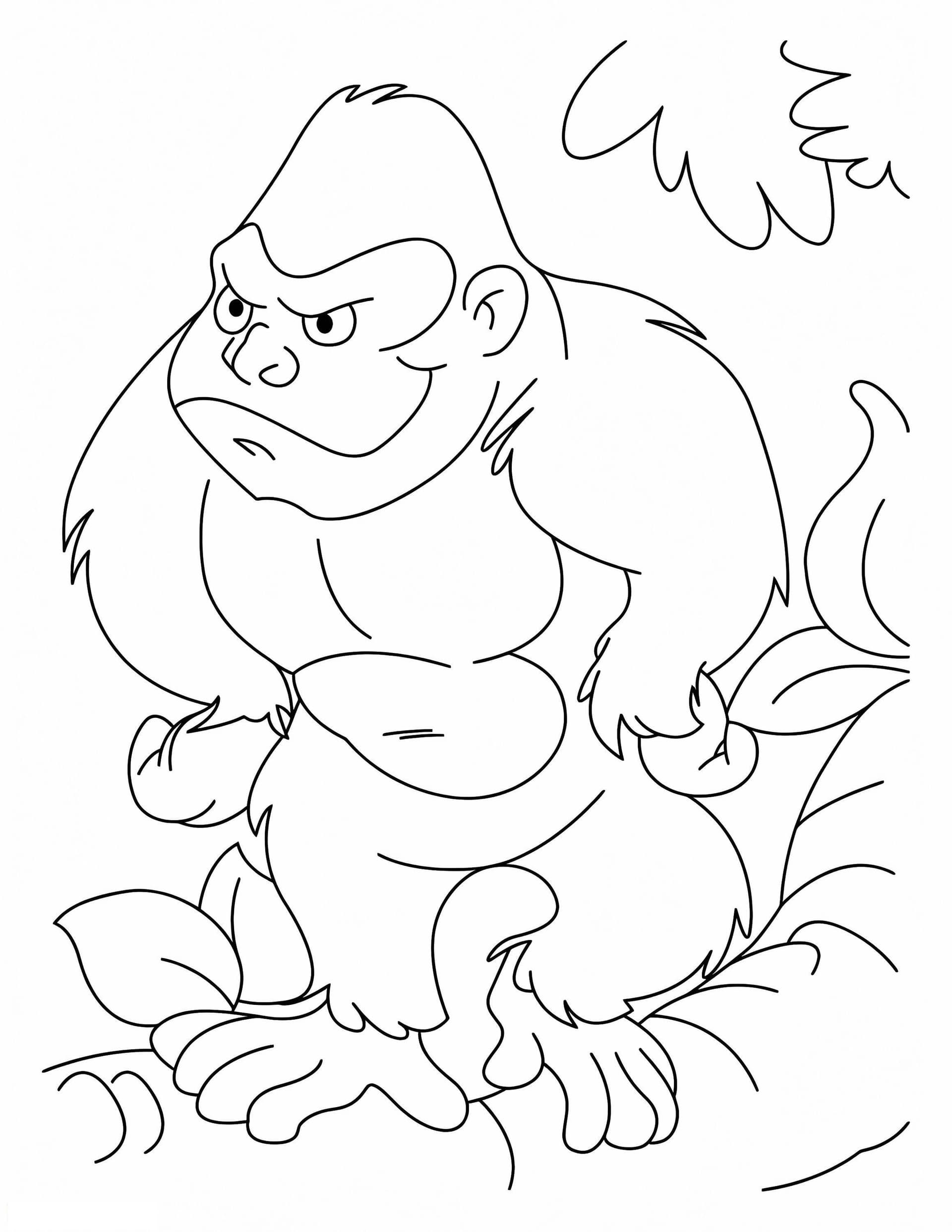 Funny Apes