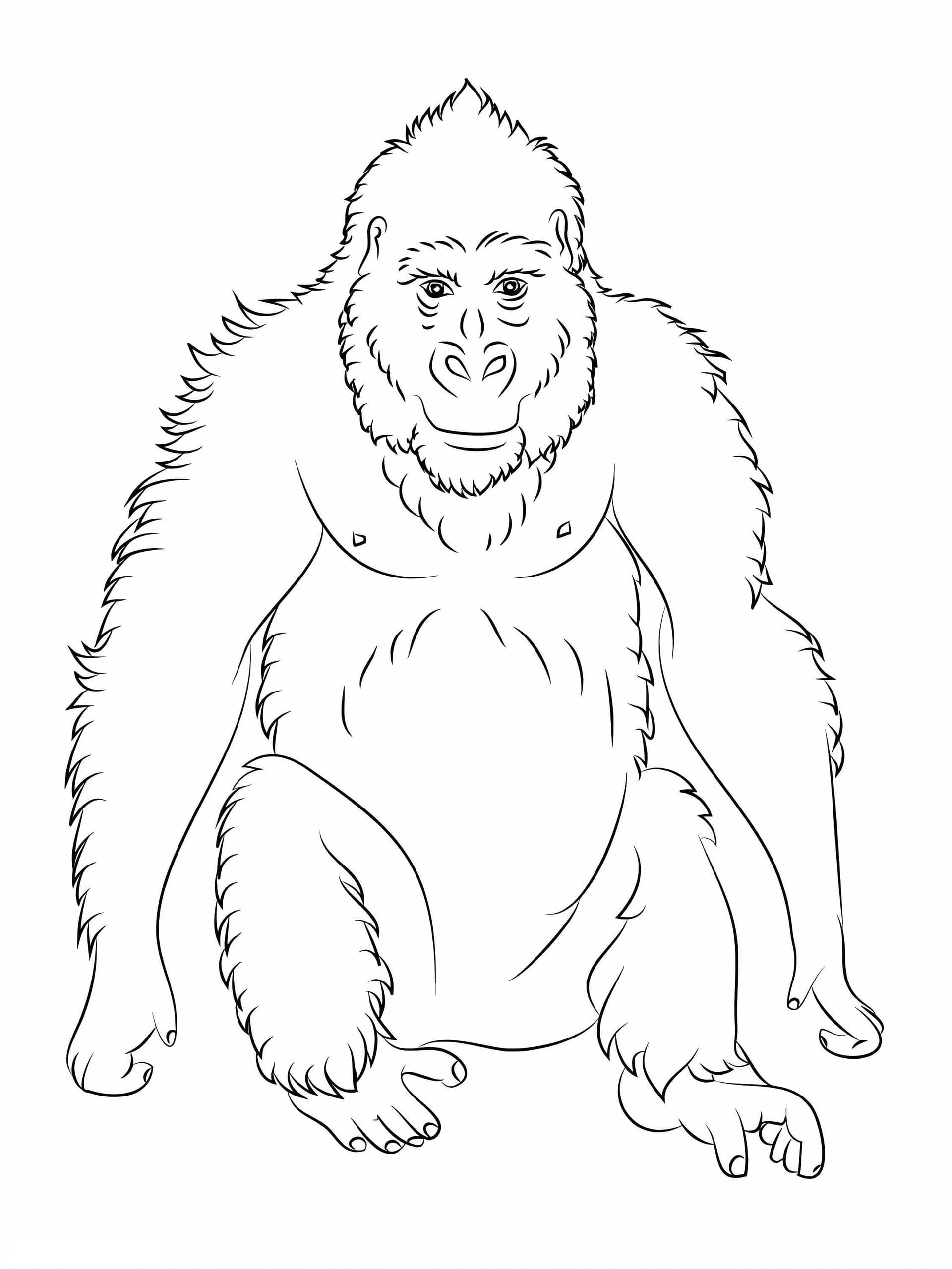 Normal Apes