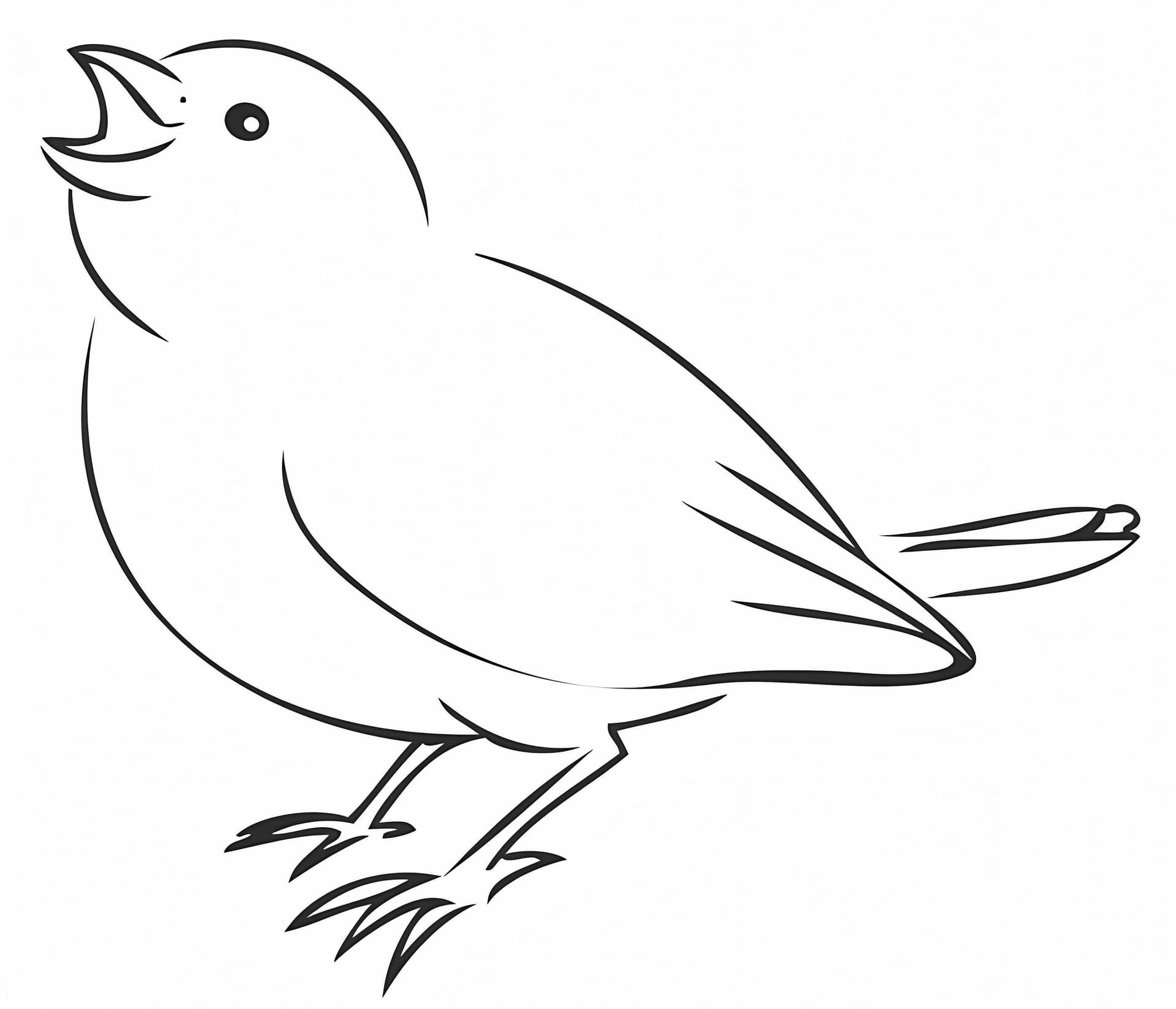 Simple Sparrow