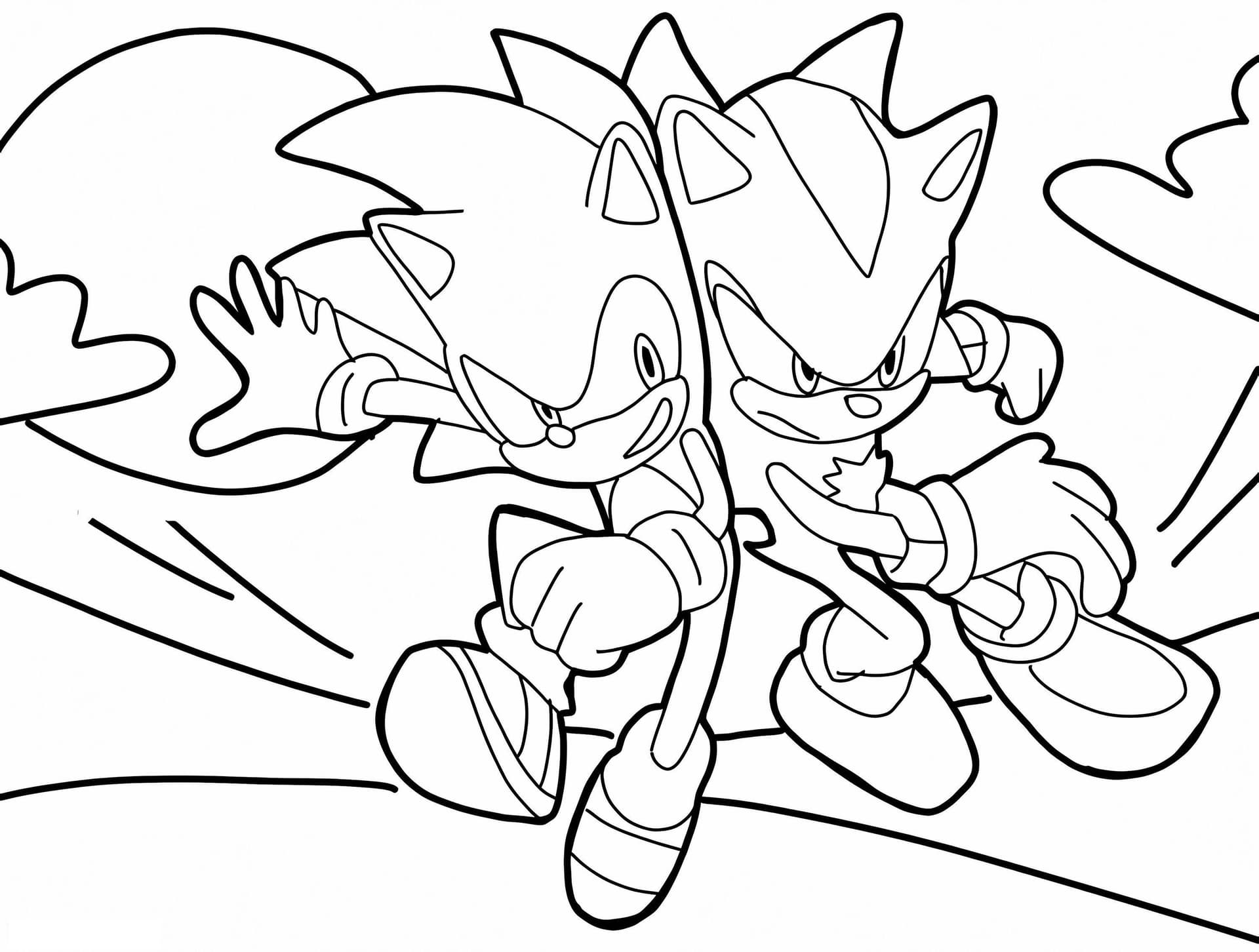 Sonic And Shadow The Hedgehog