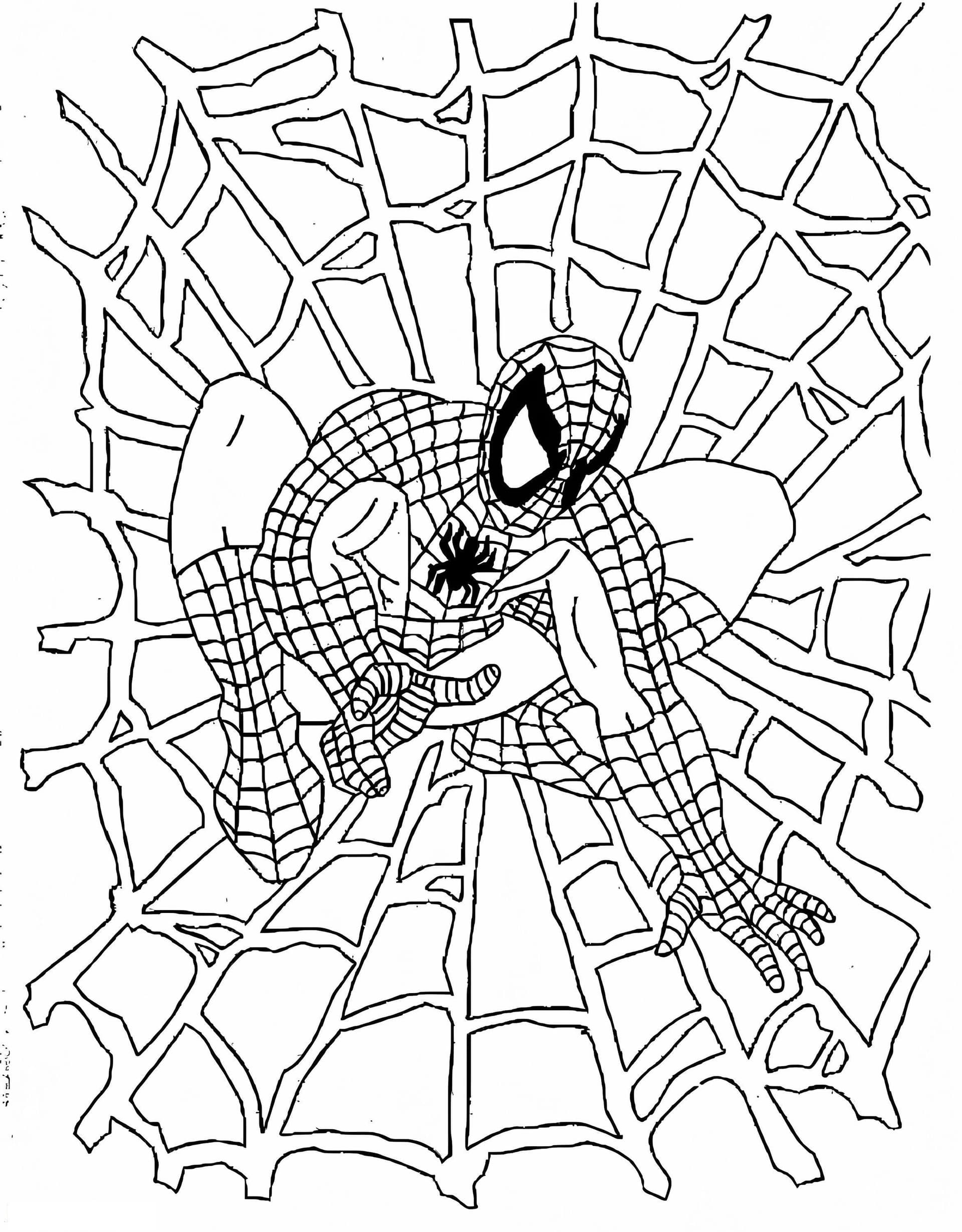 Spiderman And Web