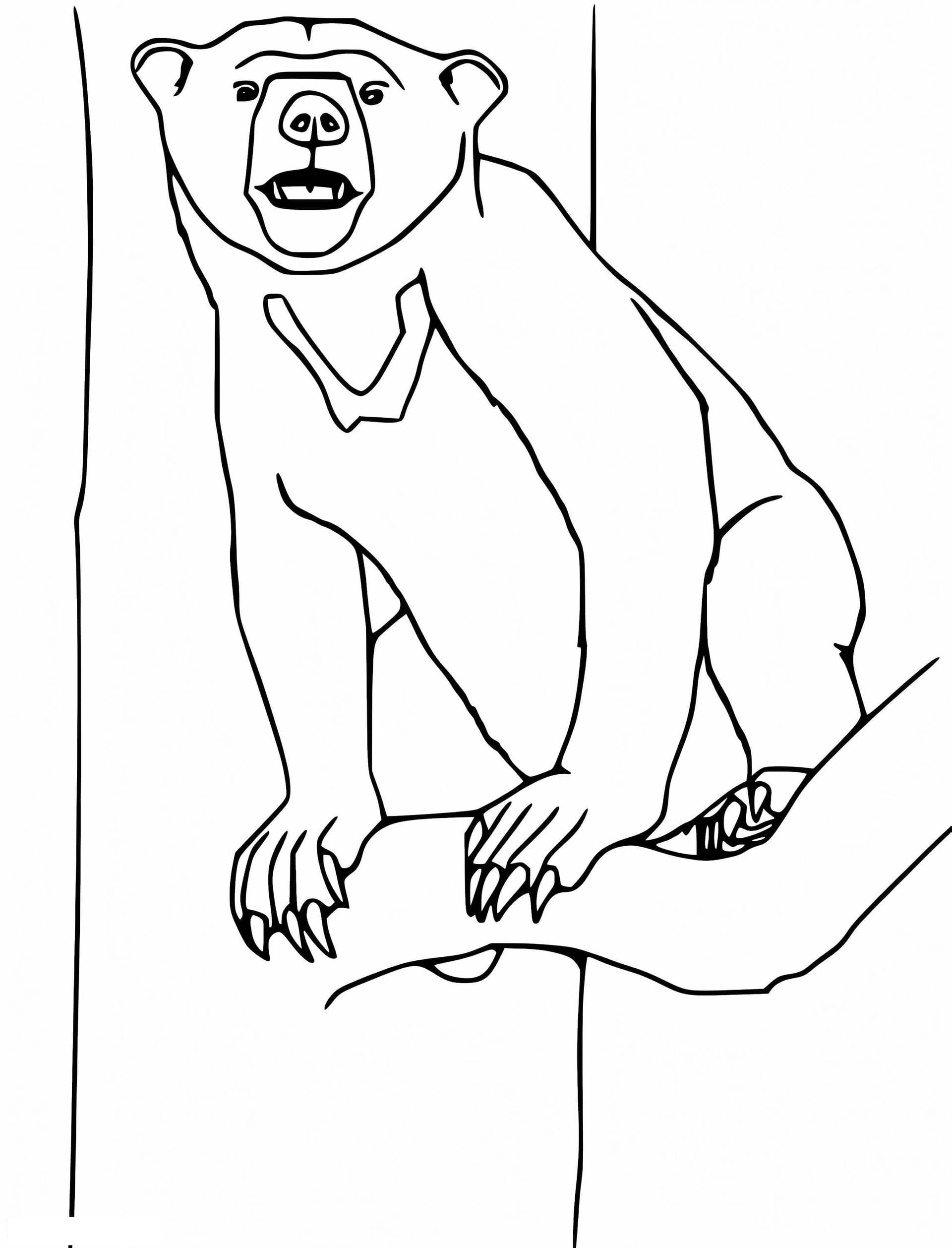 Sun Bear On A Tree
