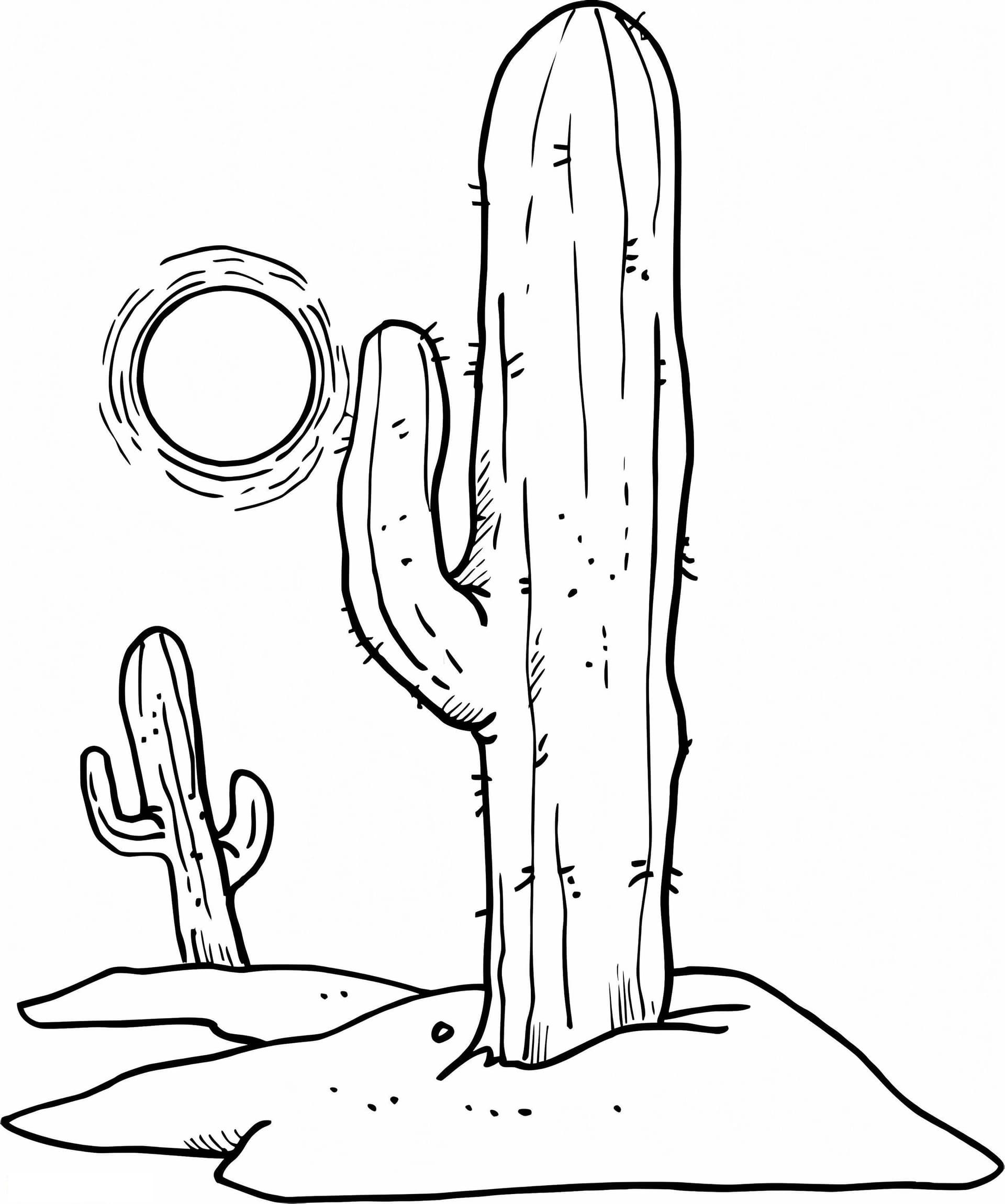 Sun Over Desert