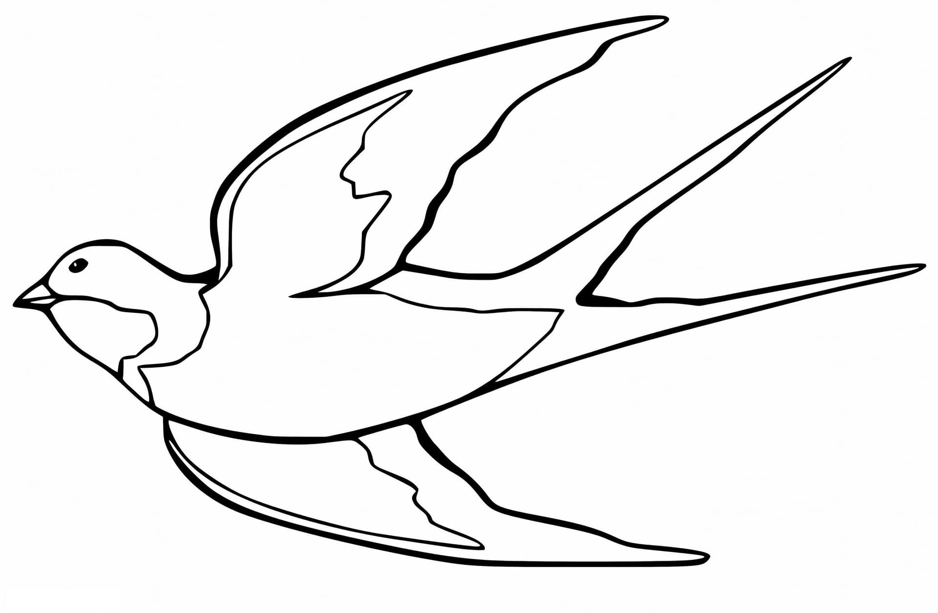 Swallow Is Flying