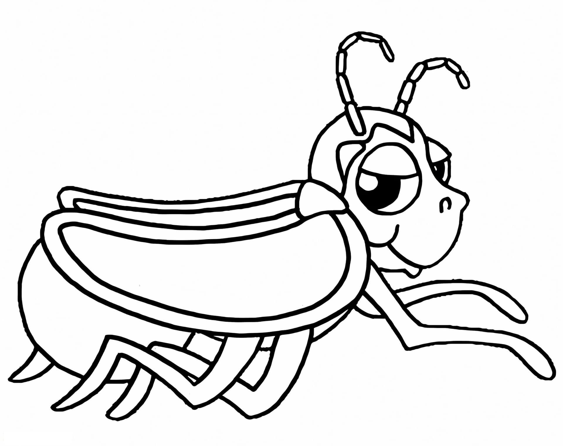Tennessee Firefly