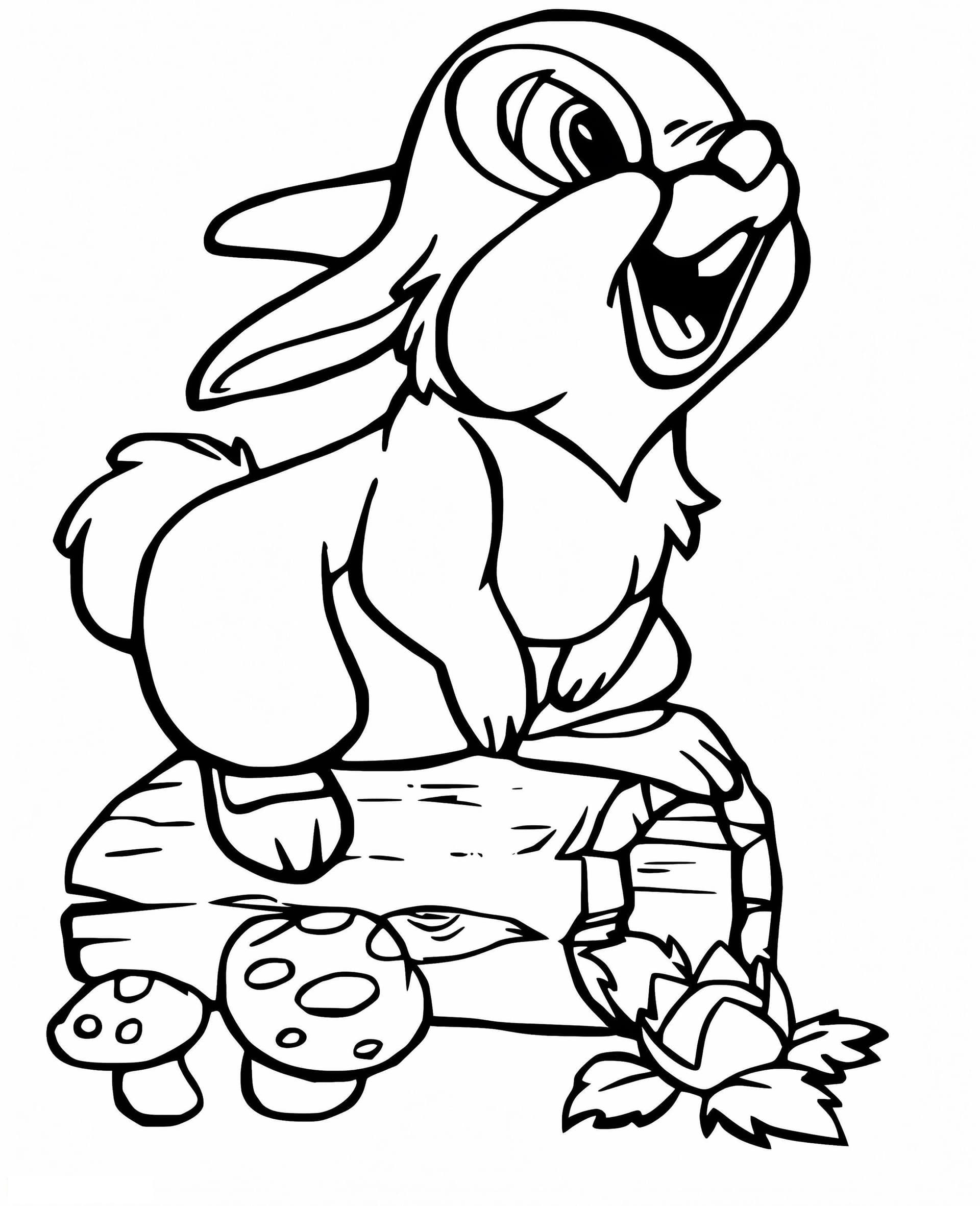 Thumper On The Log
