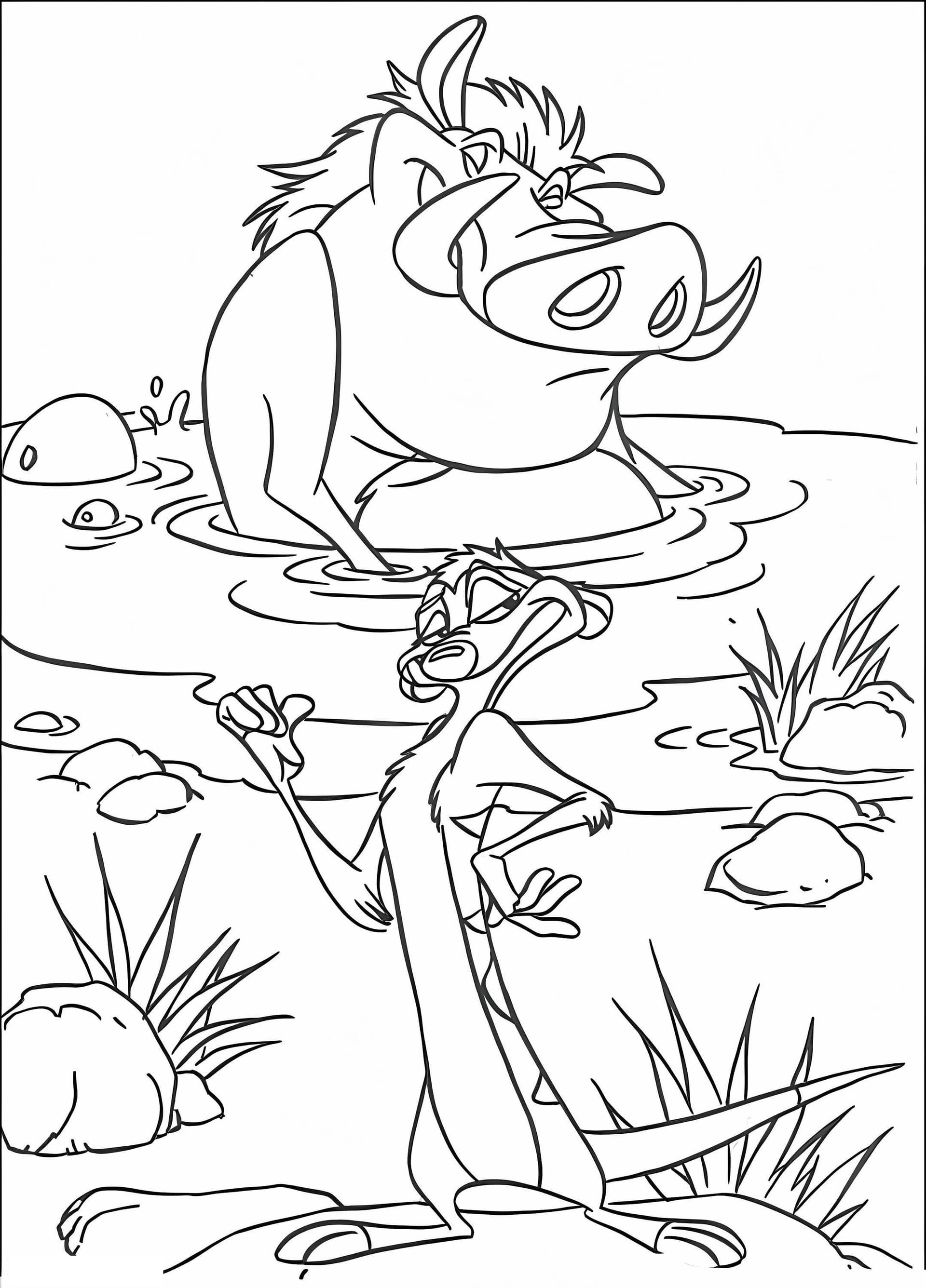 Timon And Pumbaa To Color