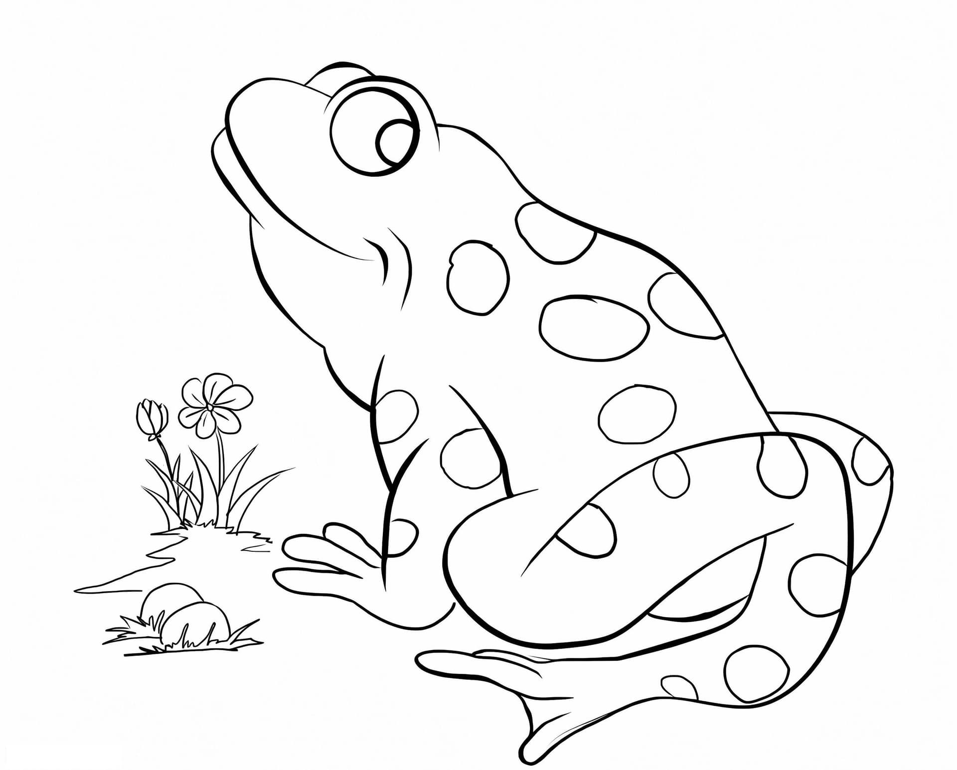 Toad And Flower