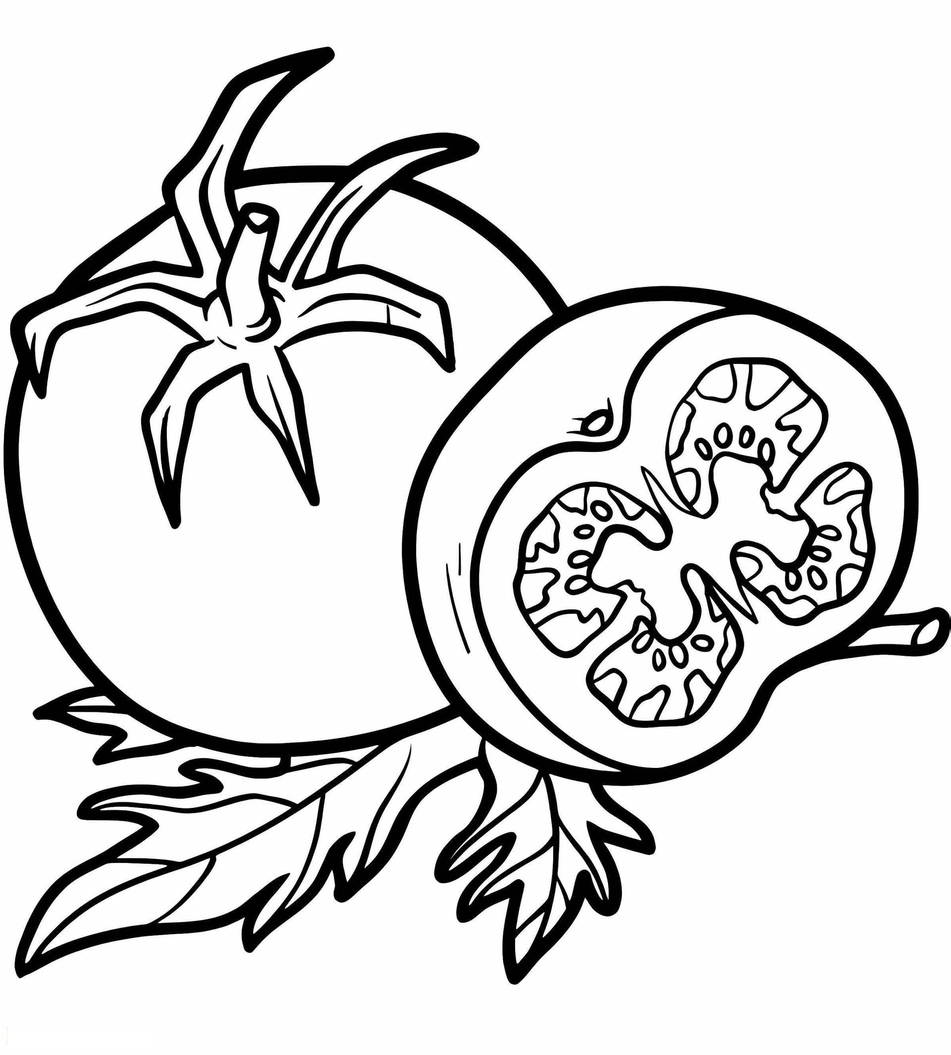 Tomate Vegetal