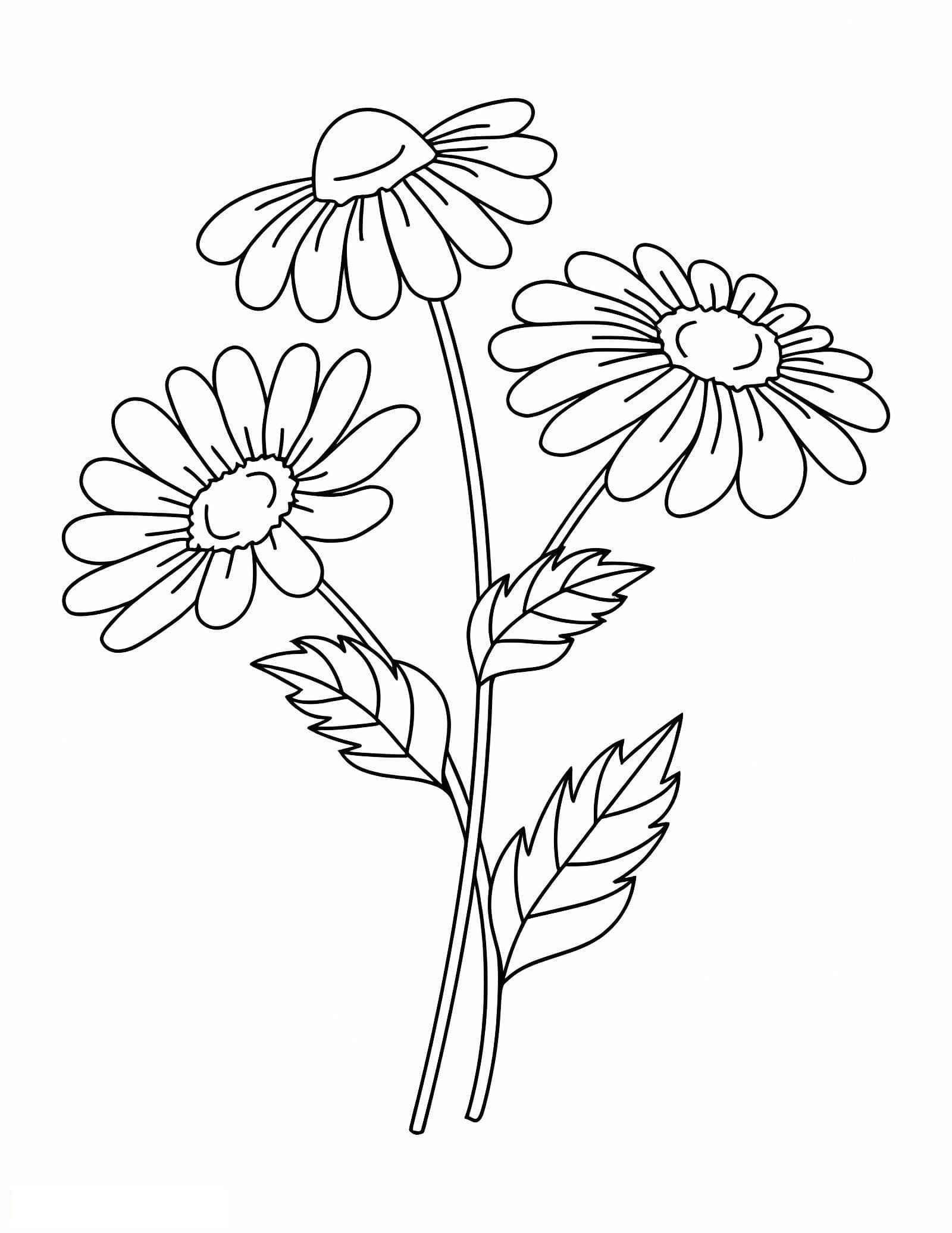 Three Flowers 1