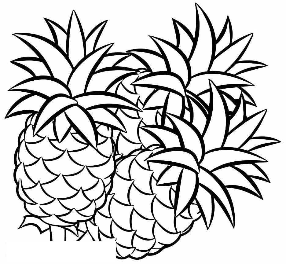 Three Pineapple