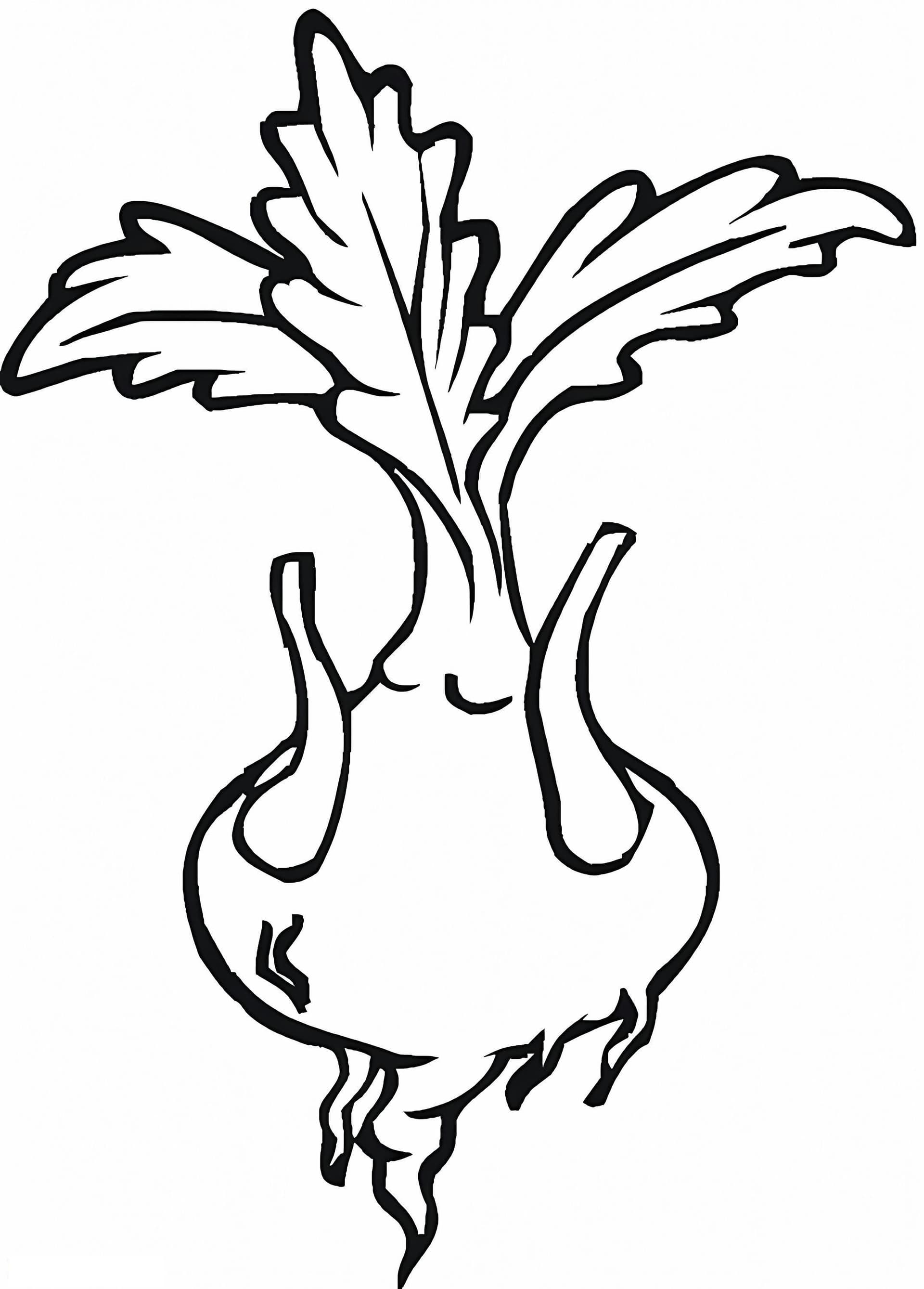 Turnip For Kid