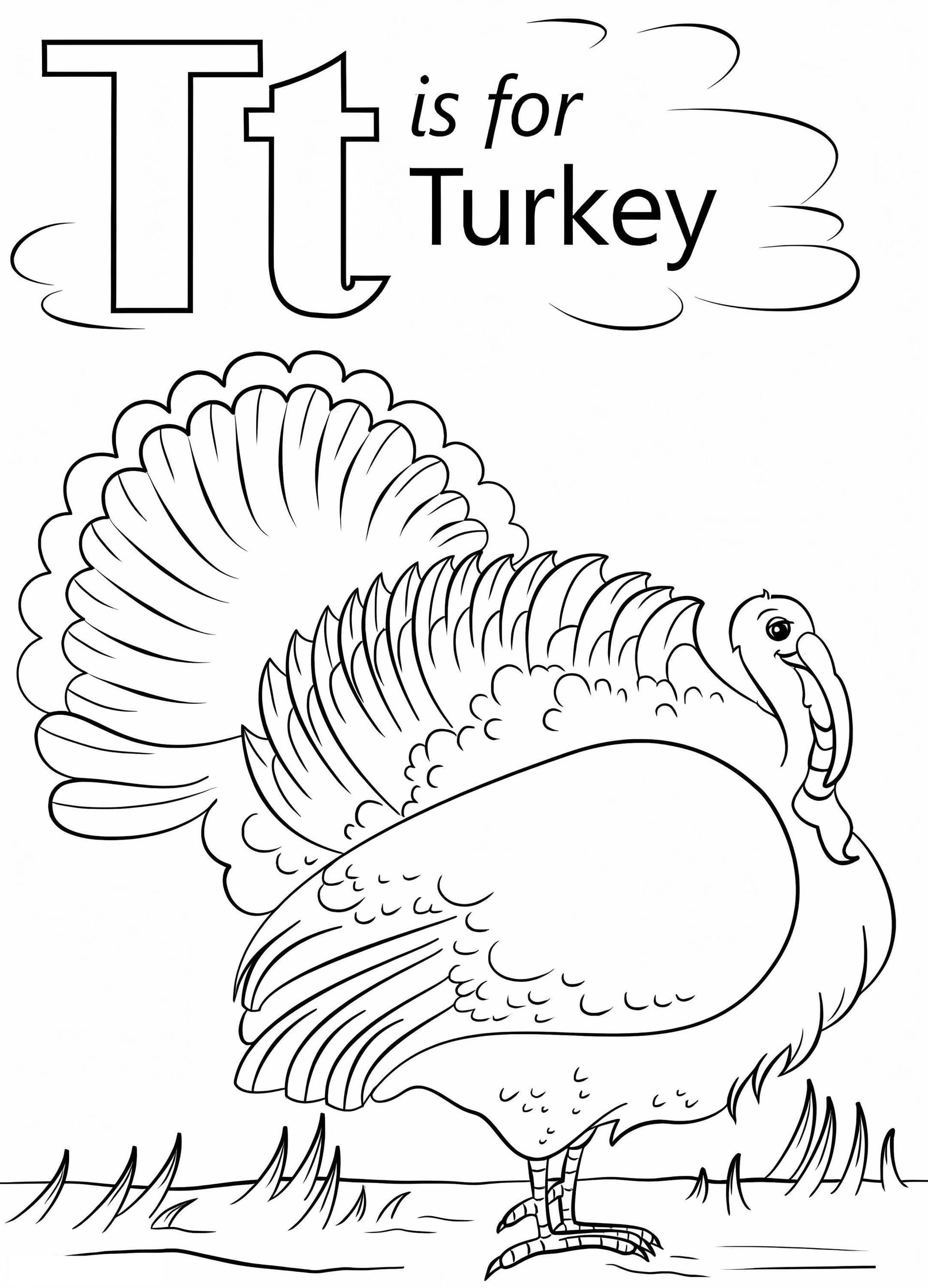 Türkiye Letter T
