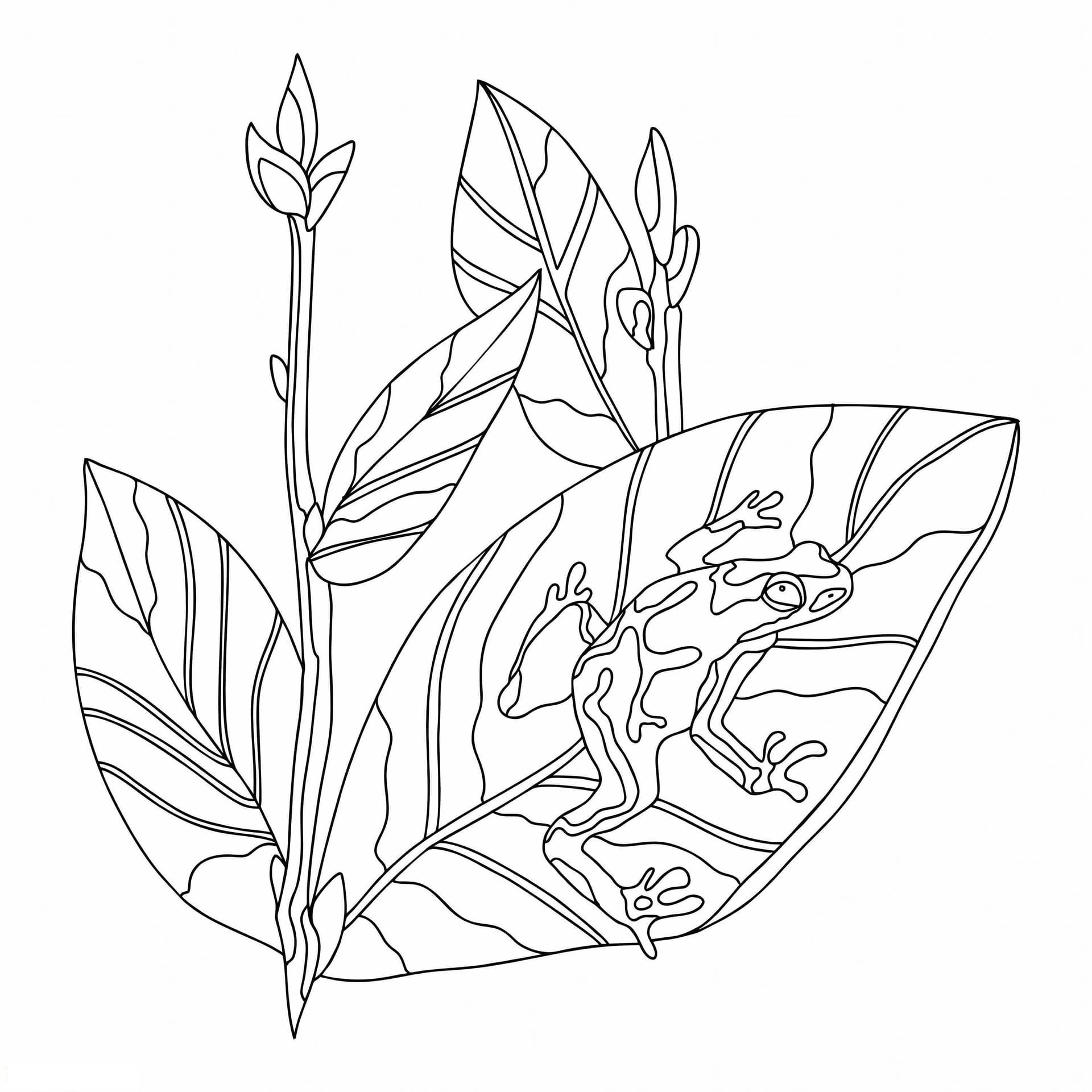 A Frog With Ginger Leaves