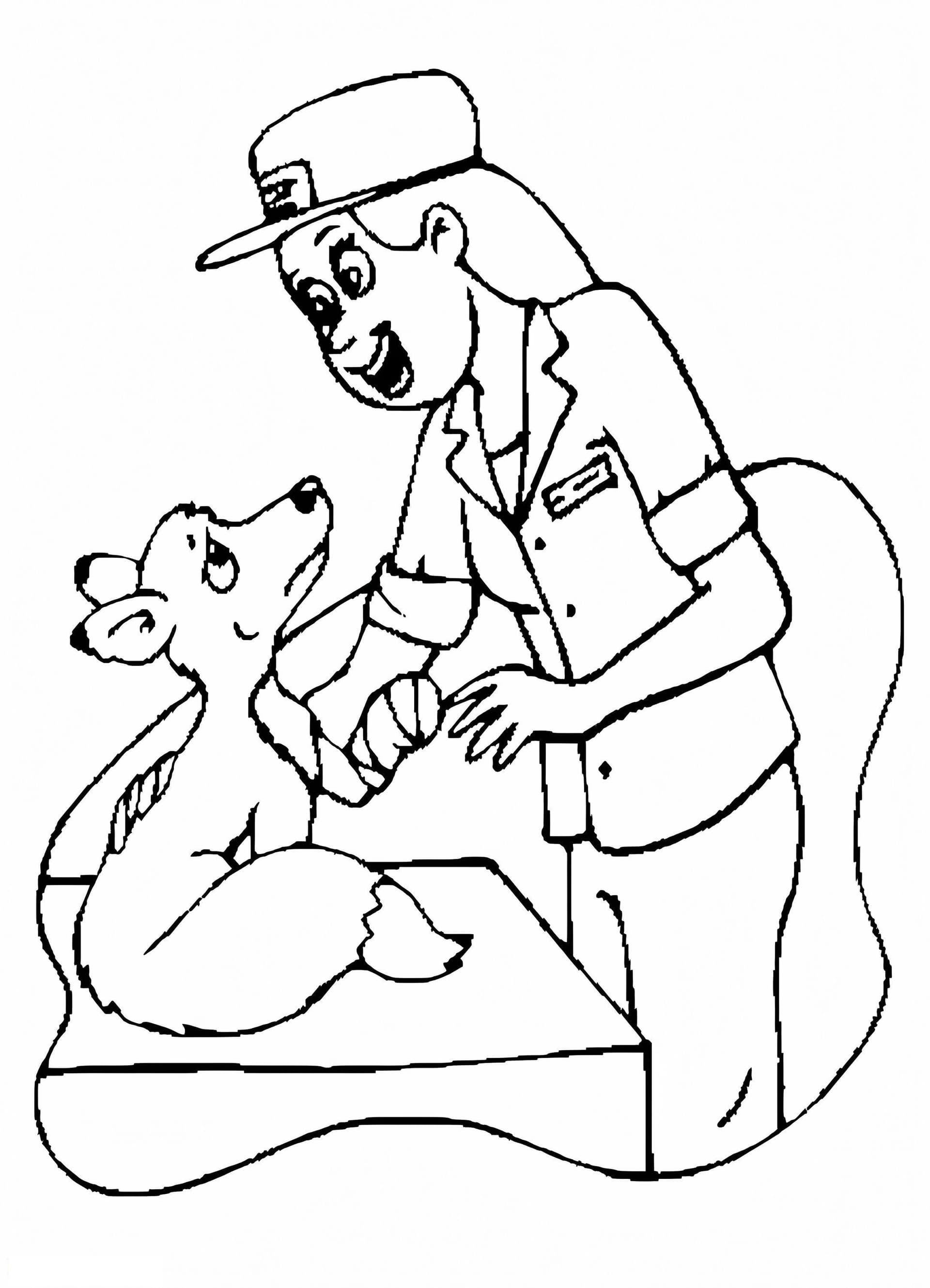Veterinarian Helps Animal